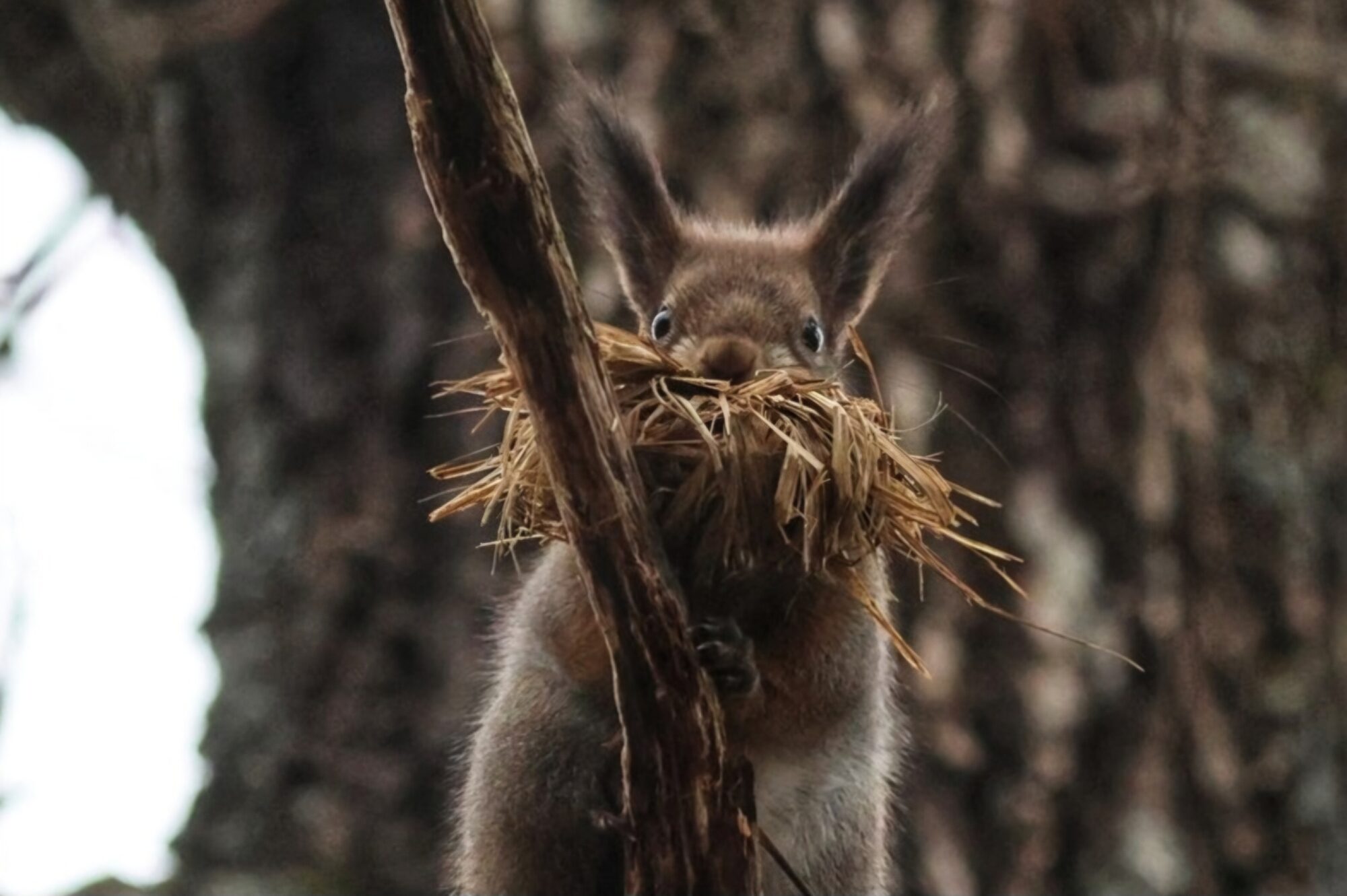 Valokuvaaja: Susanna Hannula