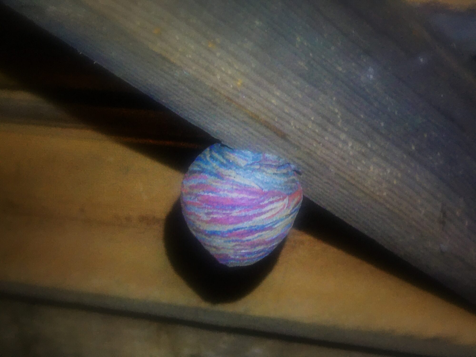 Valokuvaaja: Jari HIETALA