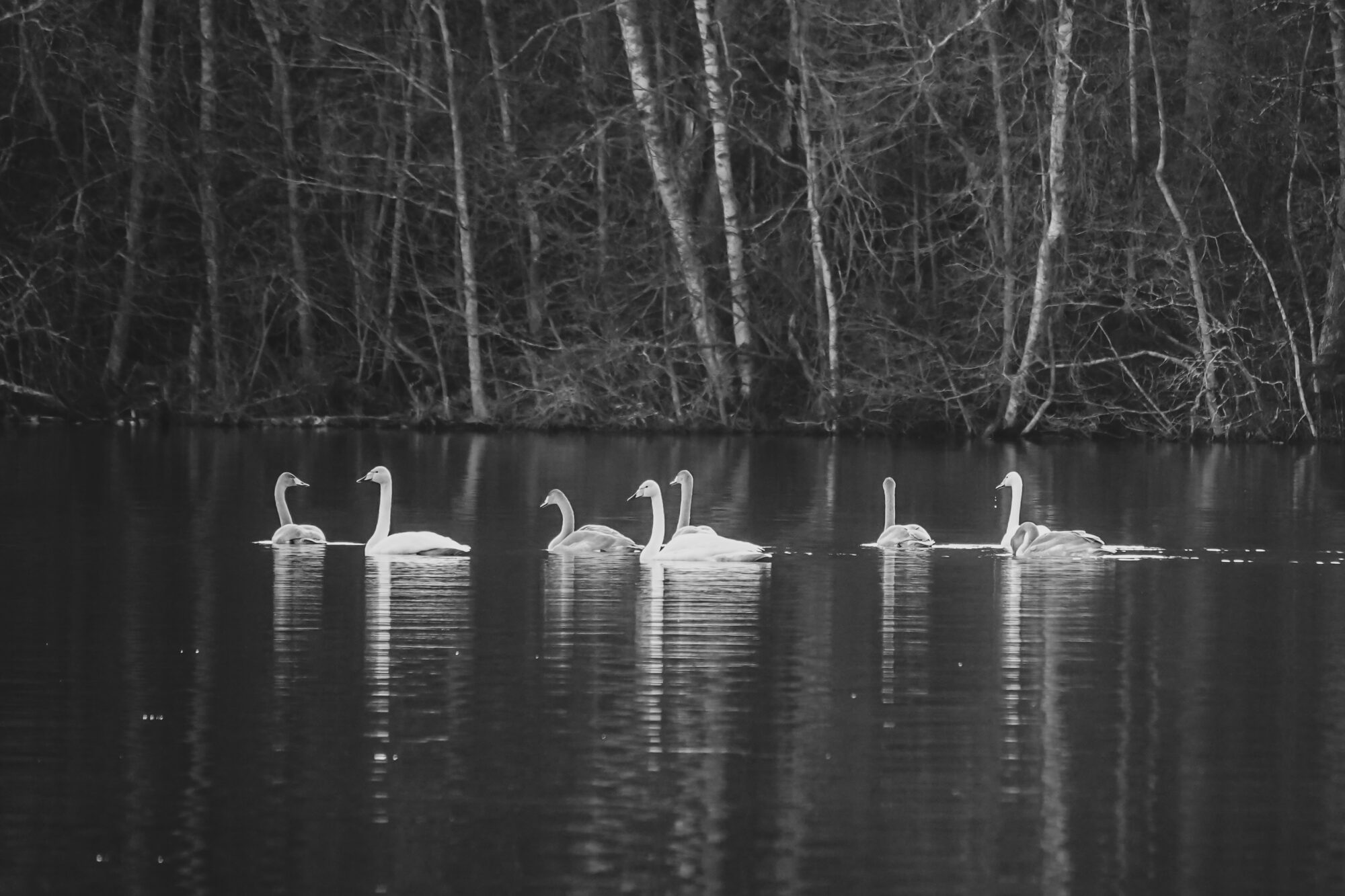 Valokuvaaja: Anne Patana