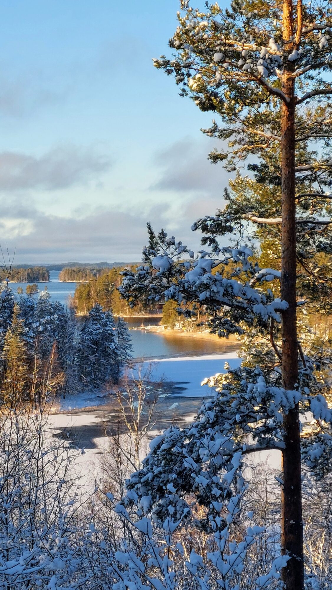 Valokuvaaja: Tarja Naukkarinen