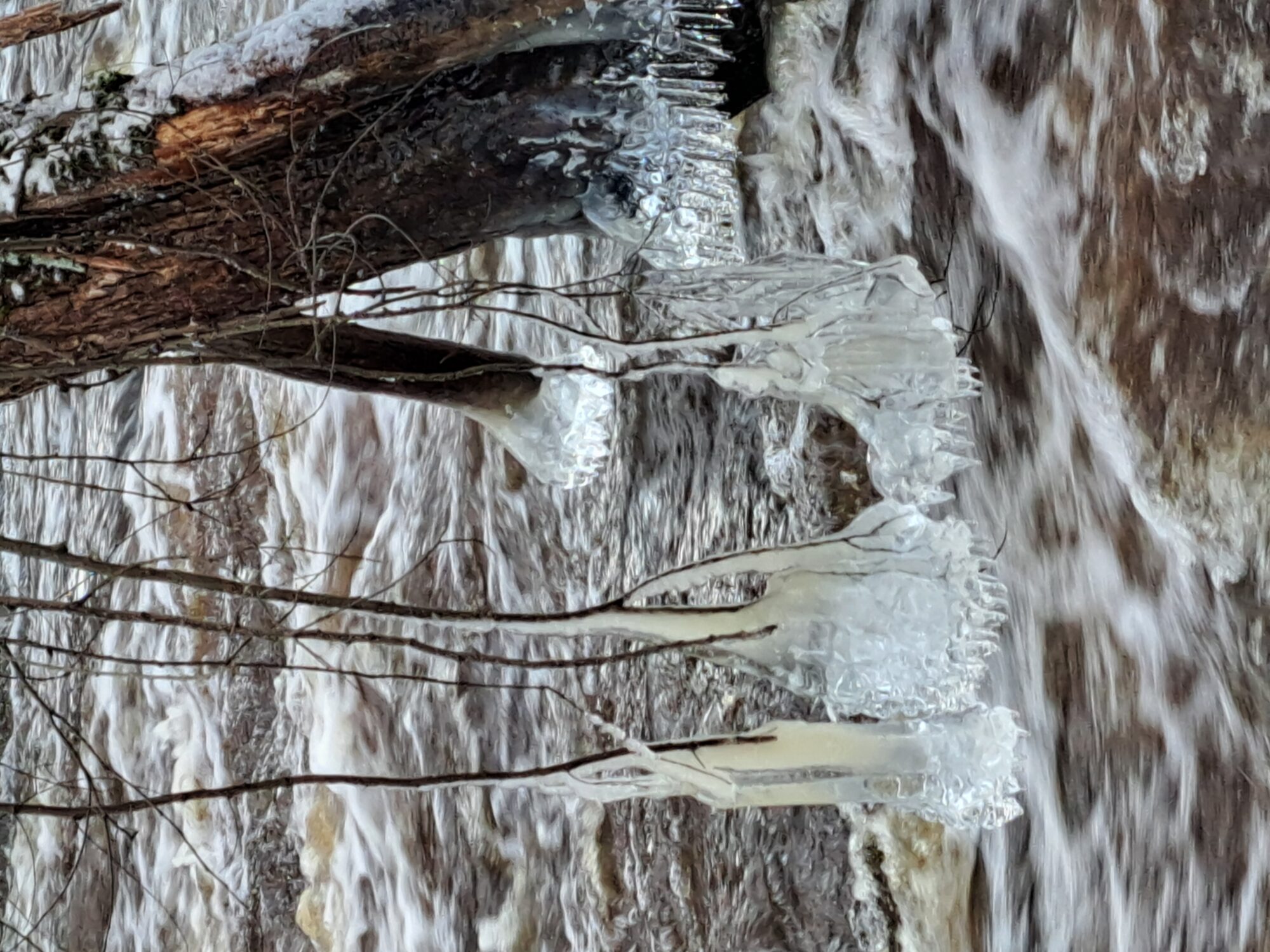 Valokuvaaja: Irja Lehtinen