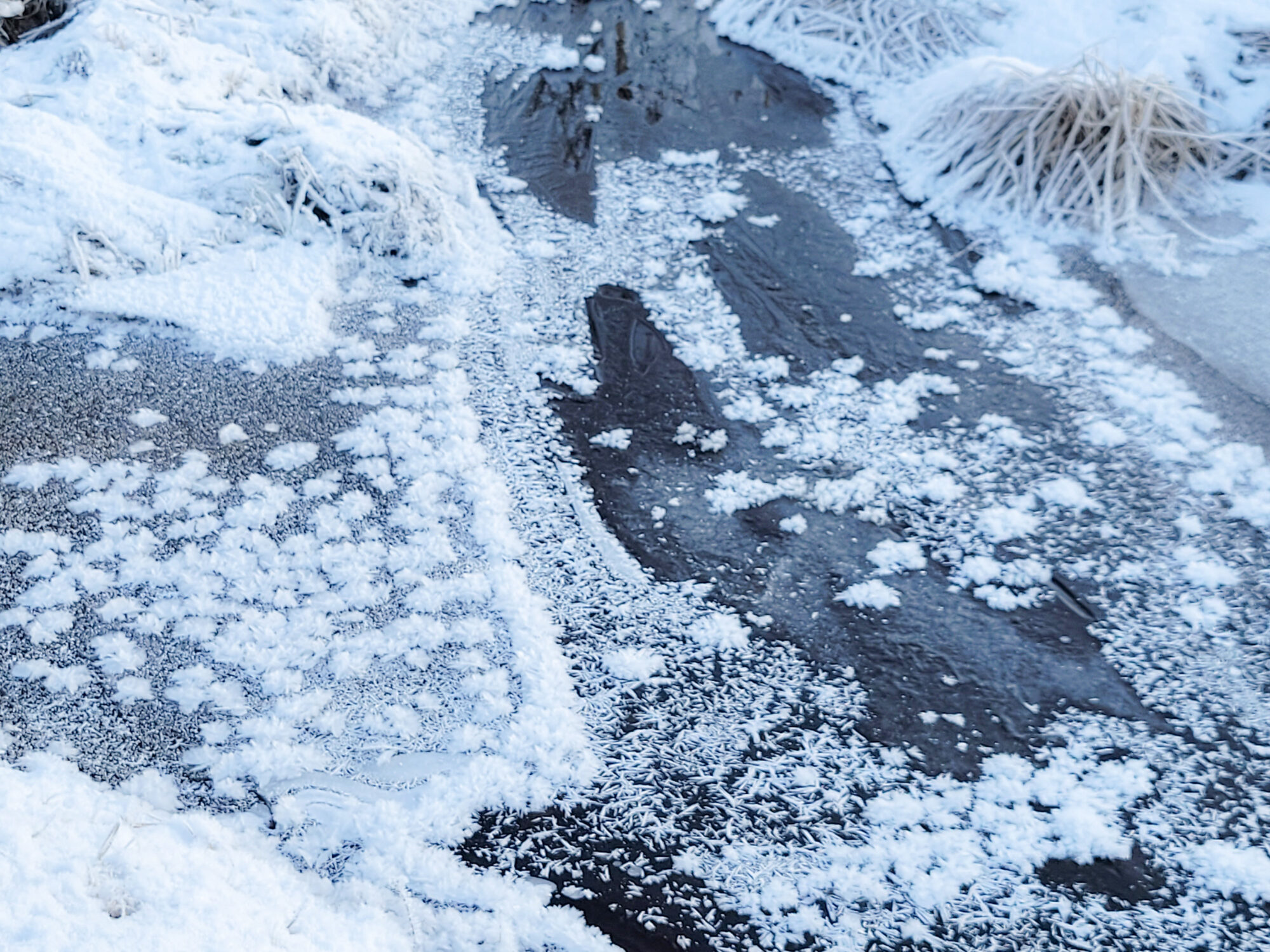 Valokuvaaja: Maija savolainen