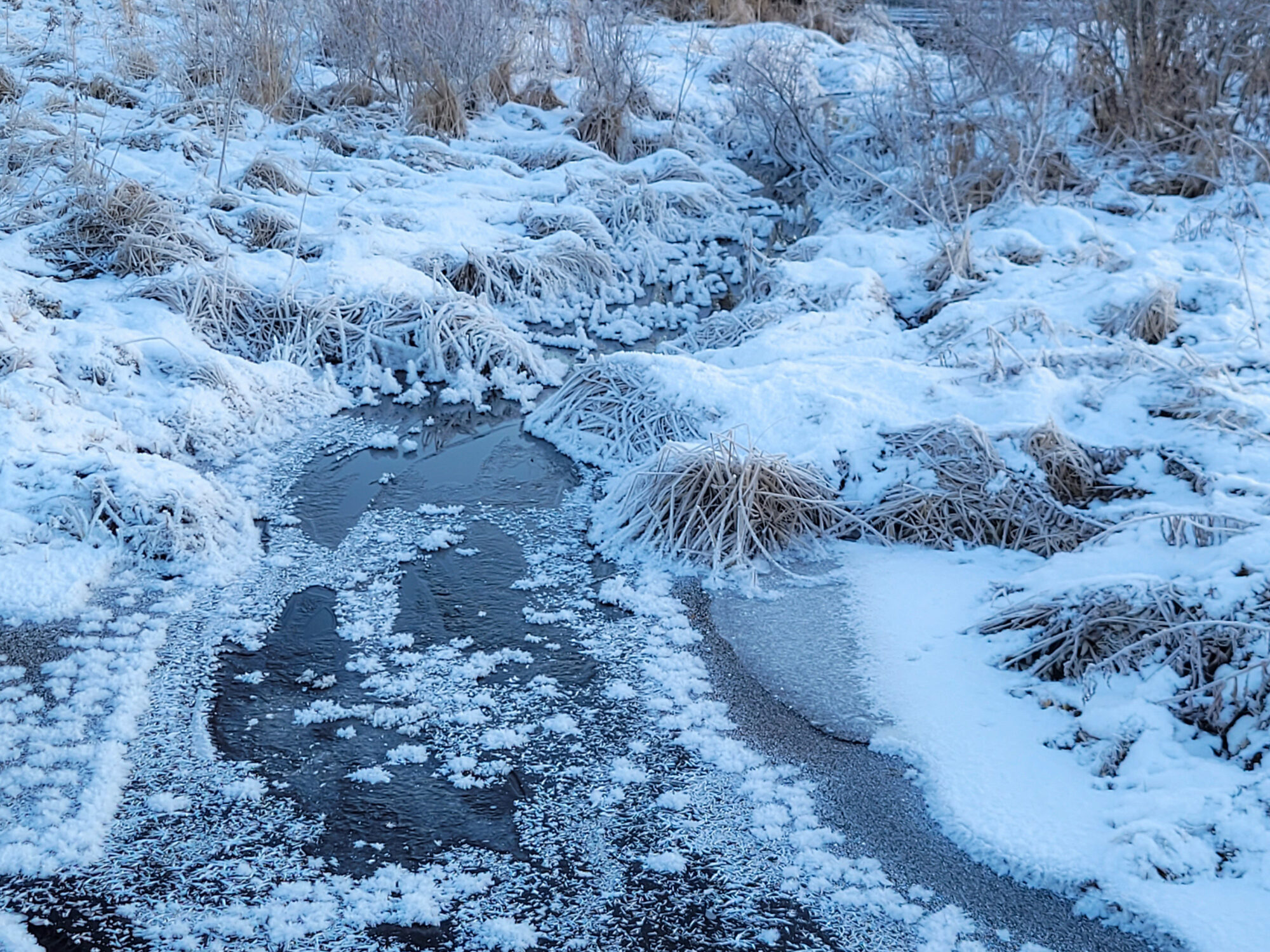 Valokuvaaja: Maija savolainen