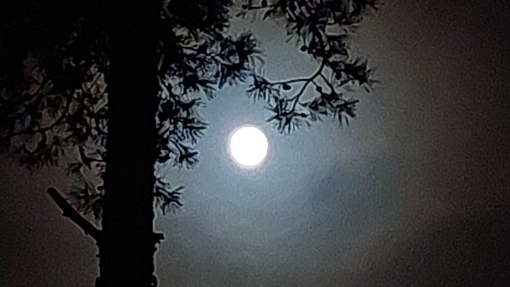 Valokuvaaja: Tarja Naukkarinen