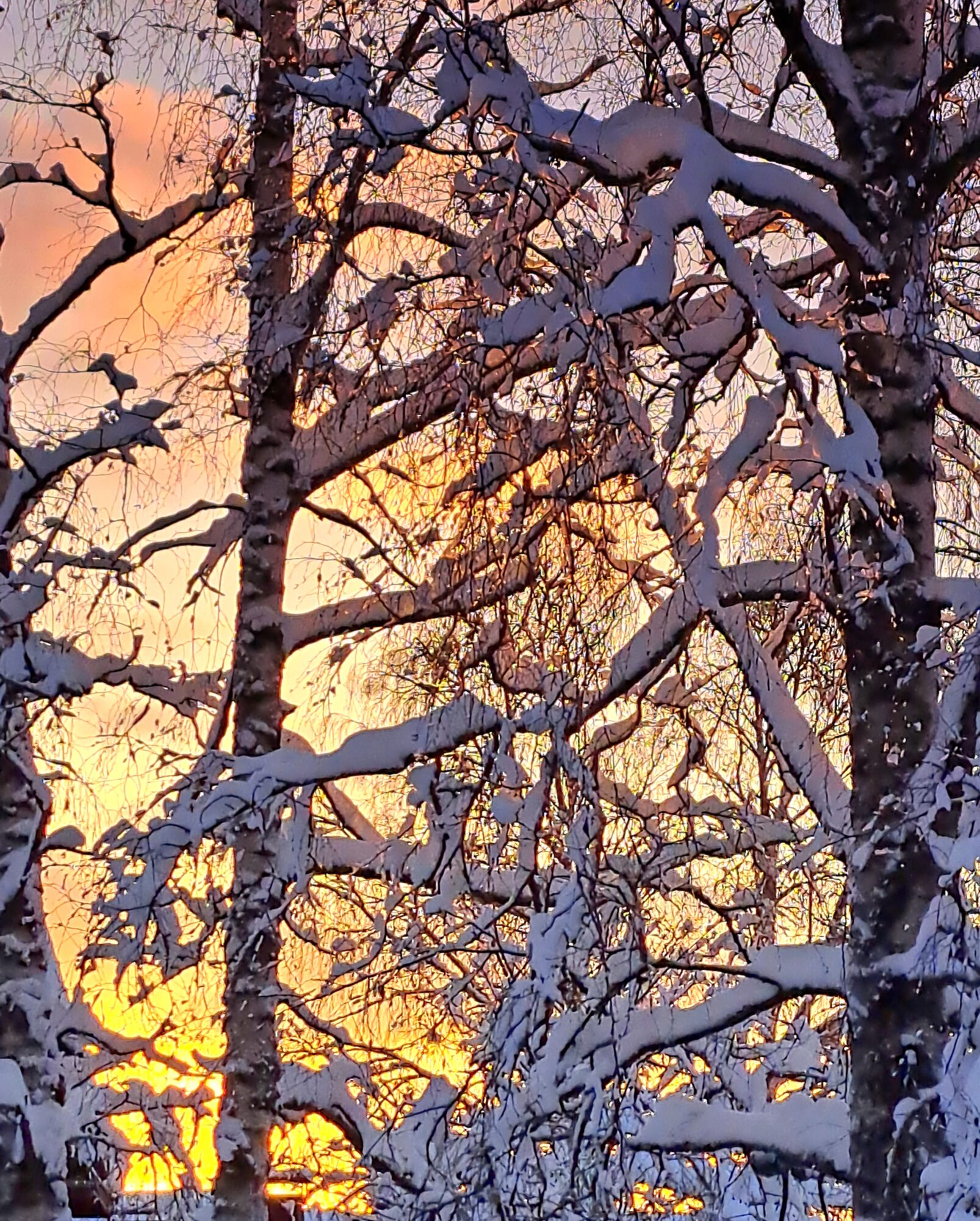 Valokuvaaja: Irja Lehtinen