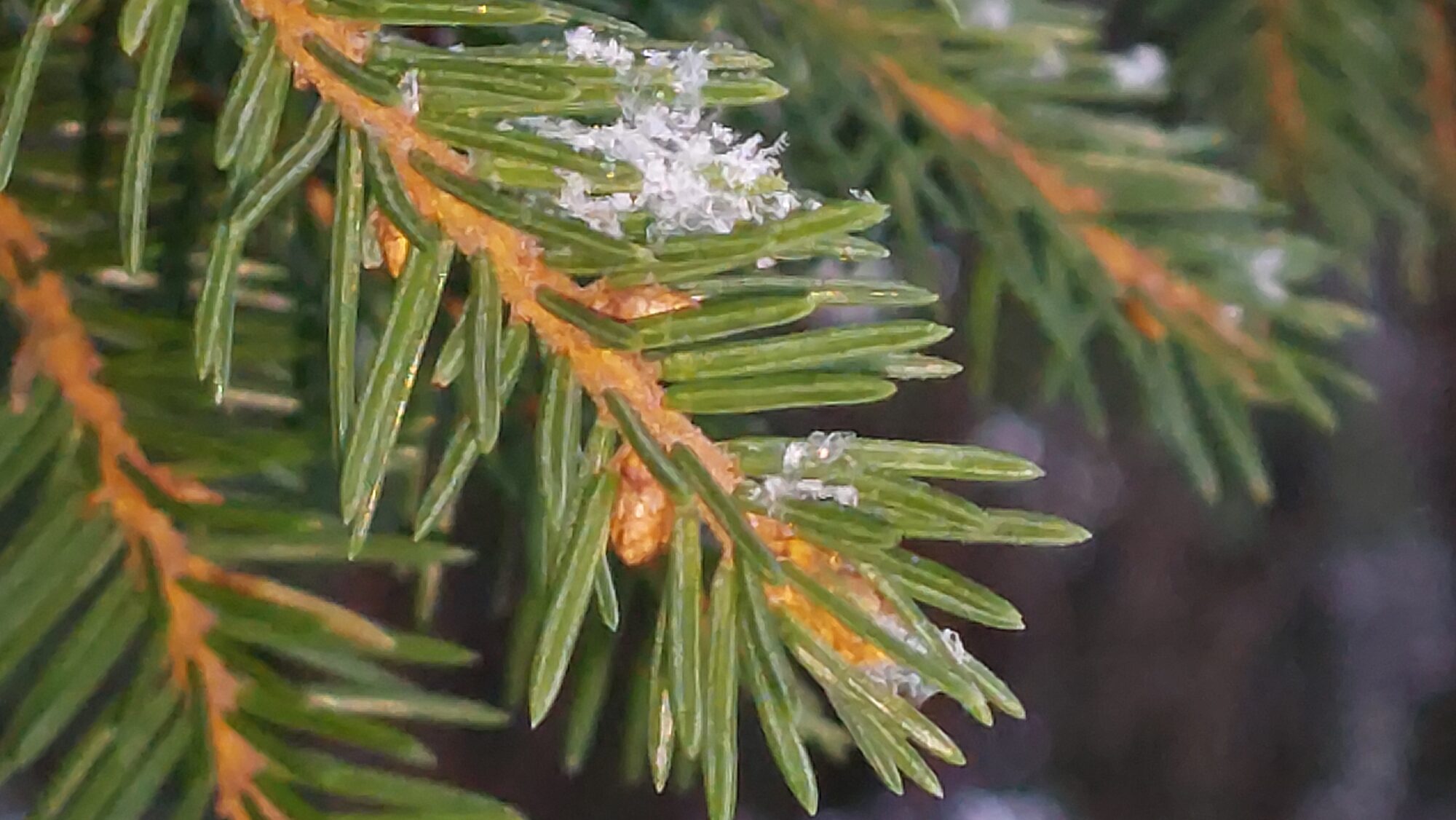 Valokuvaaja: Tarja Naukkarinen