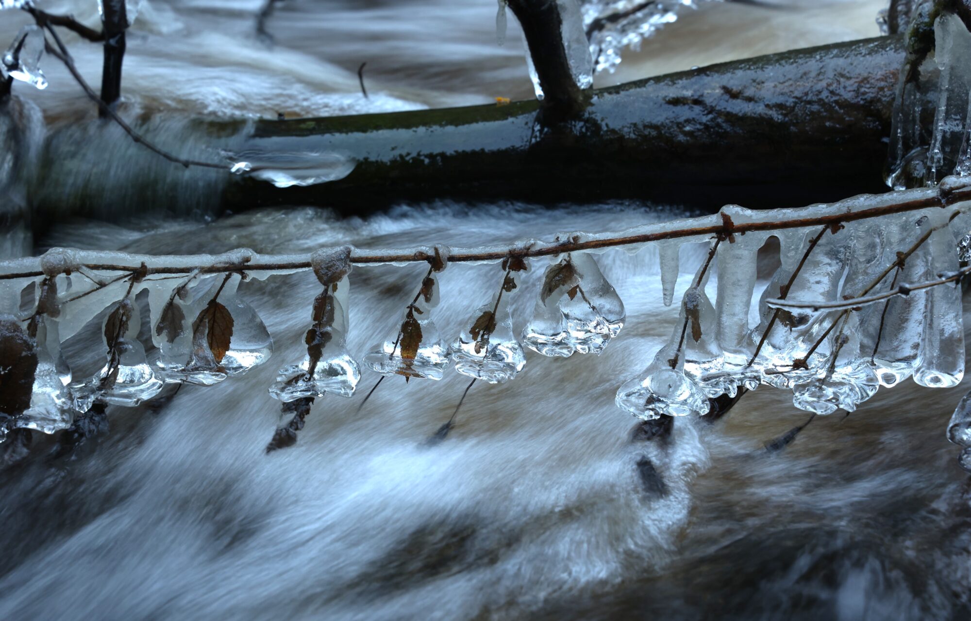 Valokuvaaja: Kaarina Heiskanen