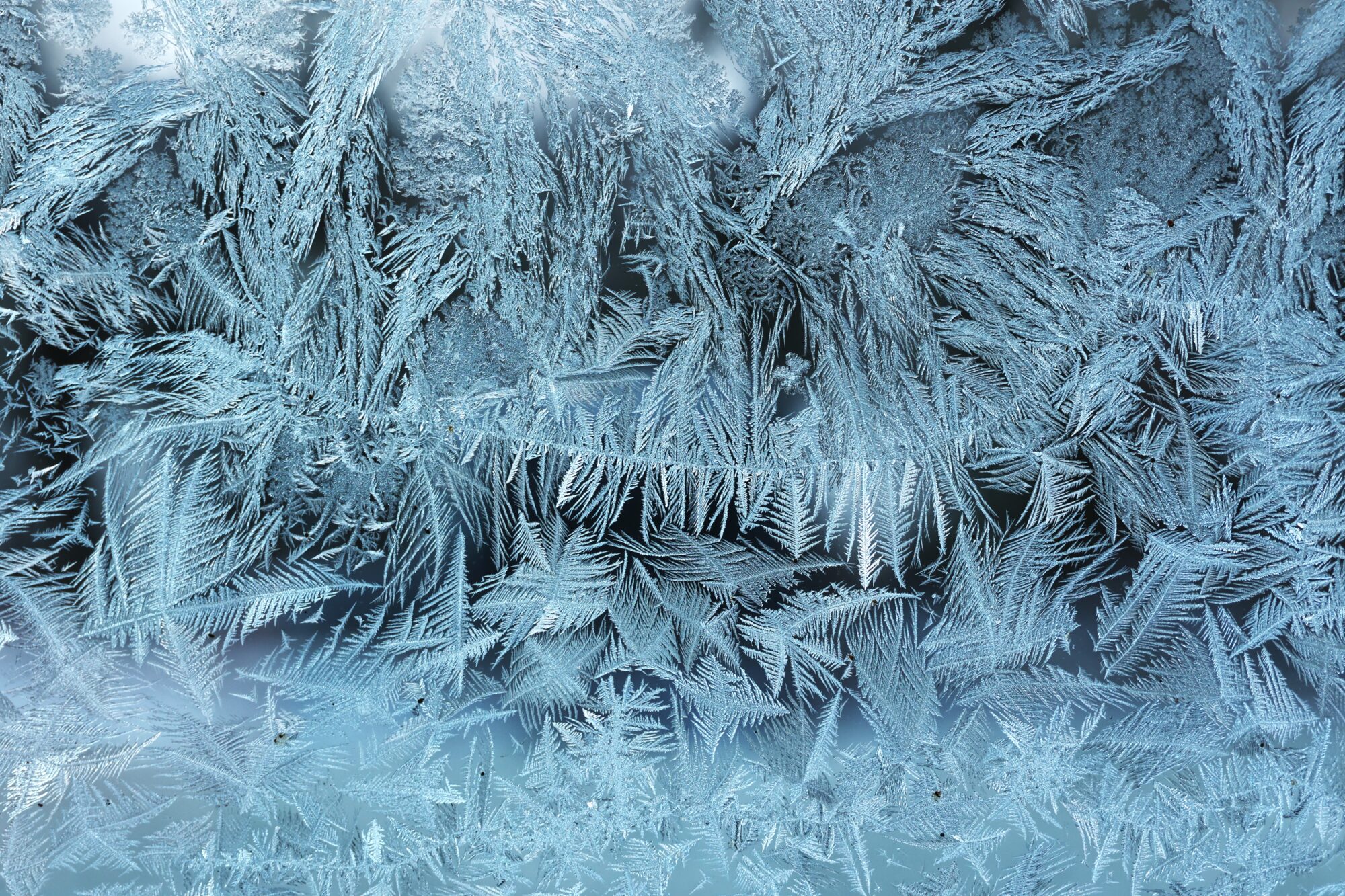 Valokuvaaja: Kaarina Heiskanen