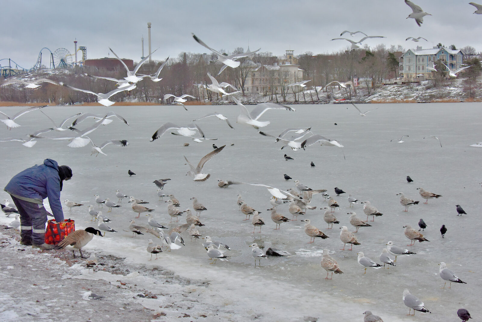 Valokuvaaja: Reijo Juurinen