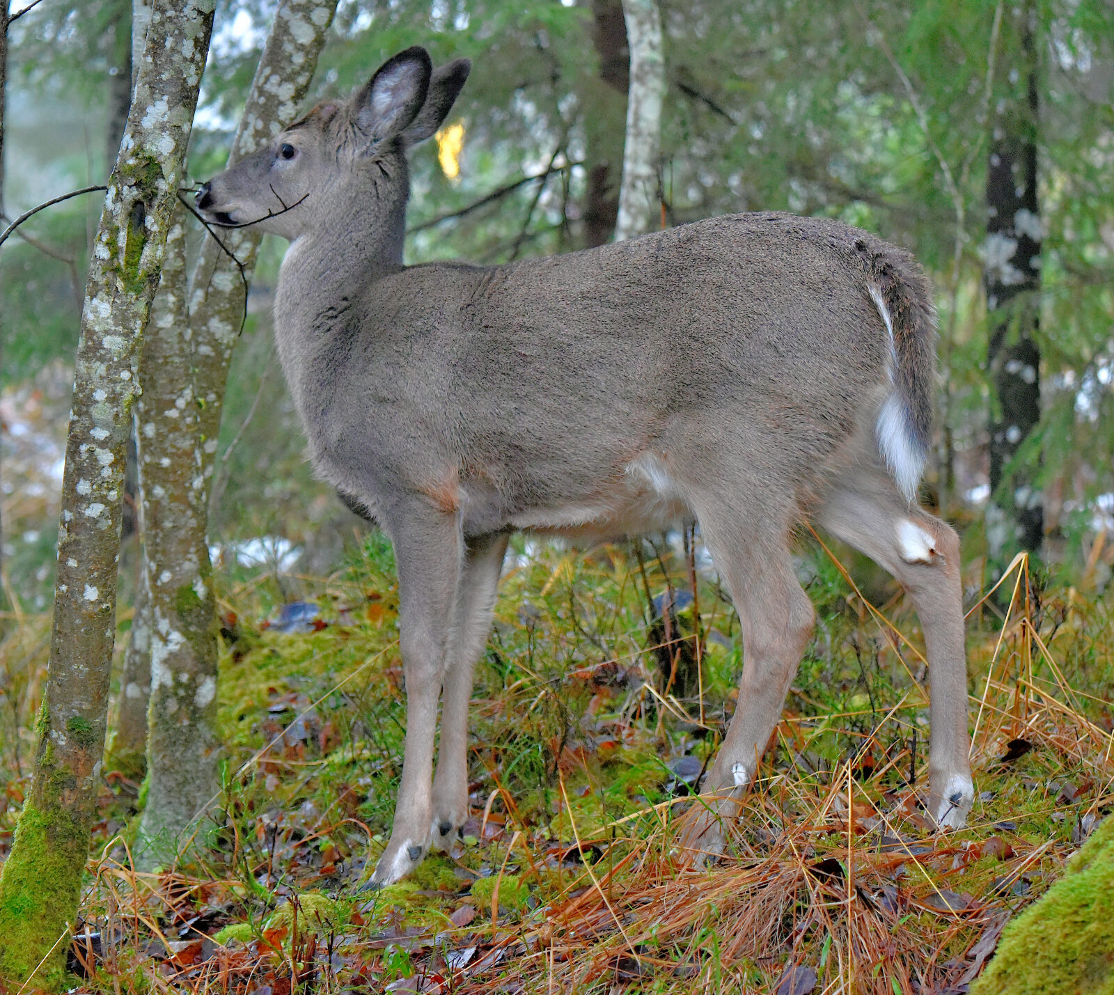 Valokuvaaja: Reijo Juurinen