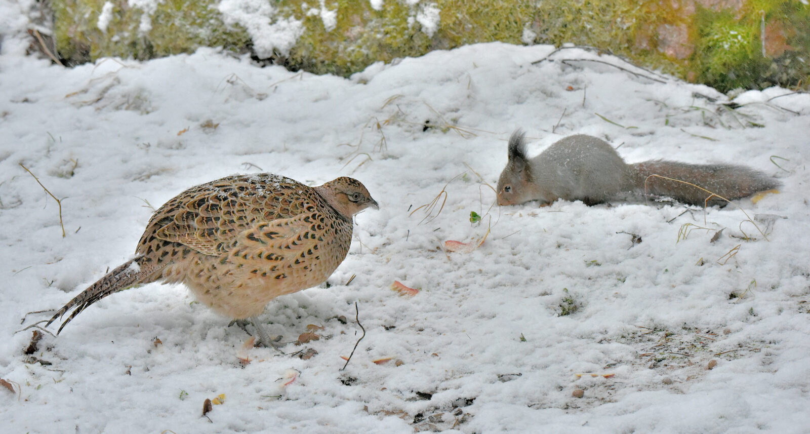 Valokuvaaja: Reijo Juurinen