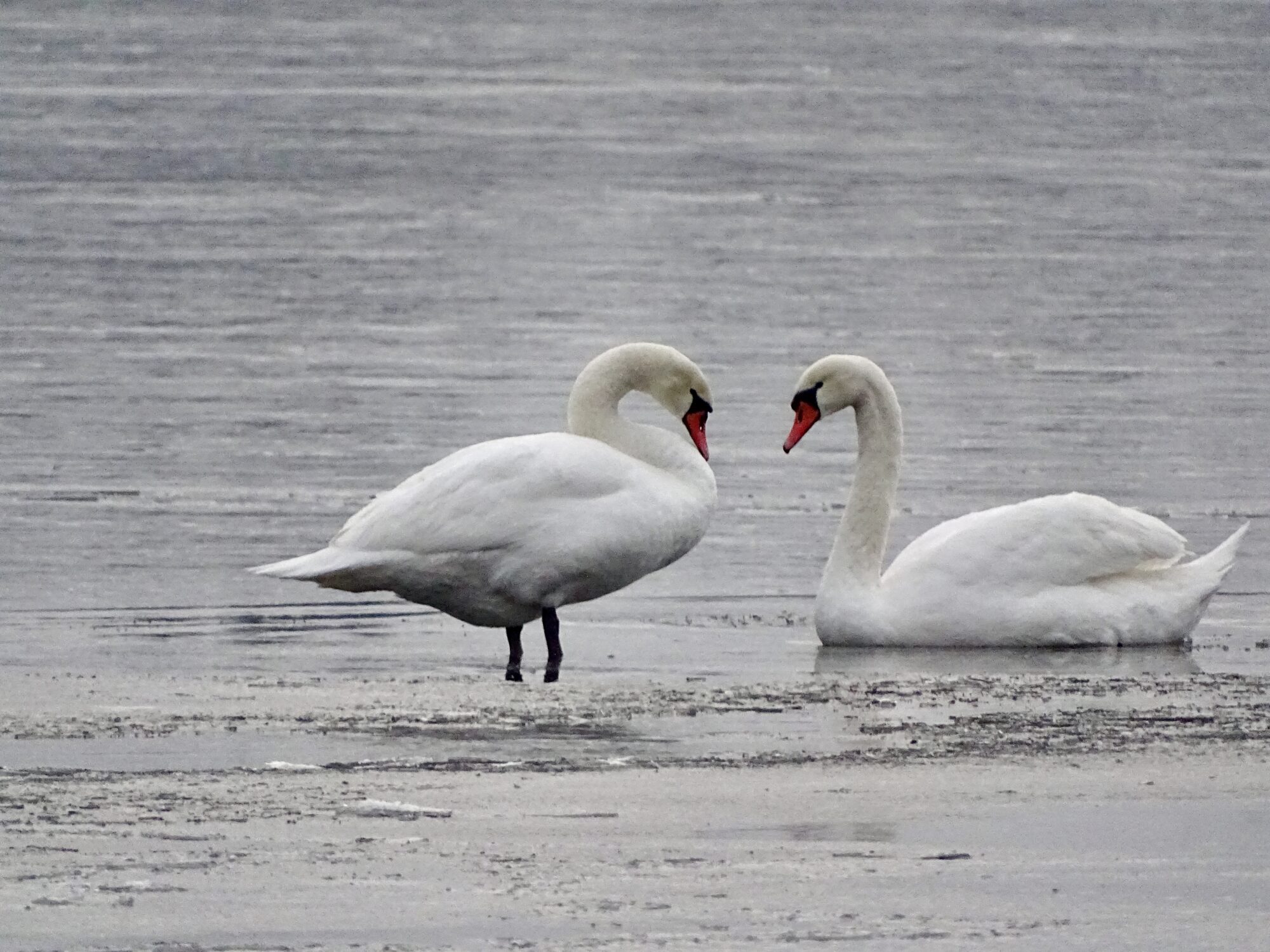 Valokuvaaja: Juhani Peltonen Valokuvaaja: Juhani Peltonen
