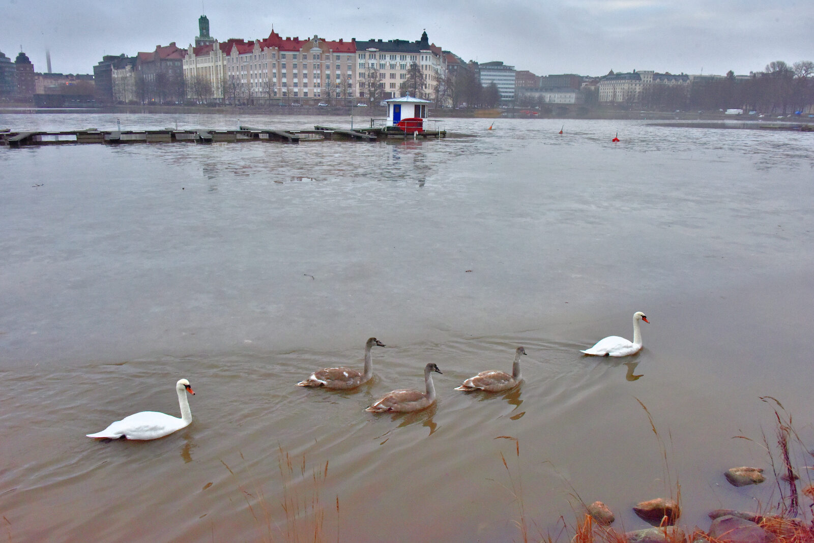 Valokuvaaja: Reijo Juurinen Valokuvaaja: Reijo Juurinen