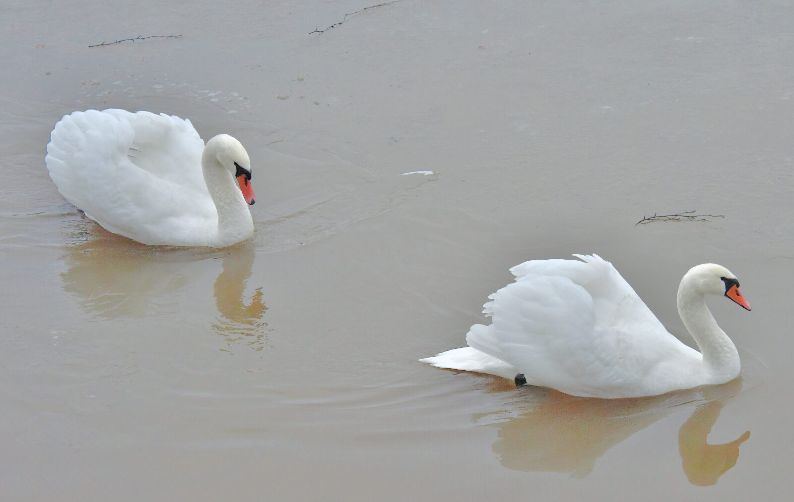 Valokuvaaja: Reijo Juurinen Valokuvaaja: Reijo Juurinen