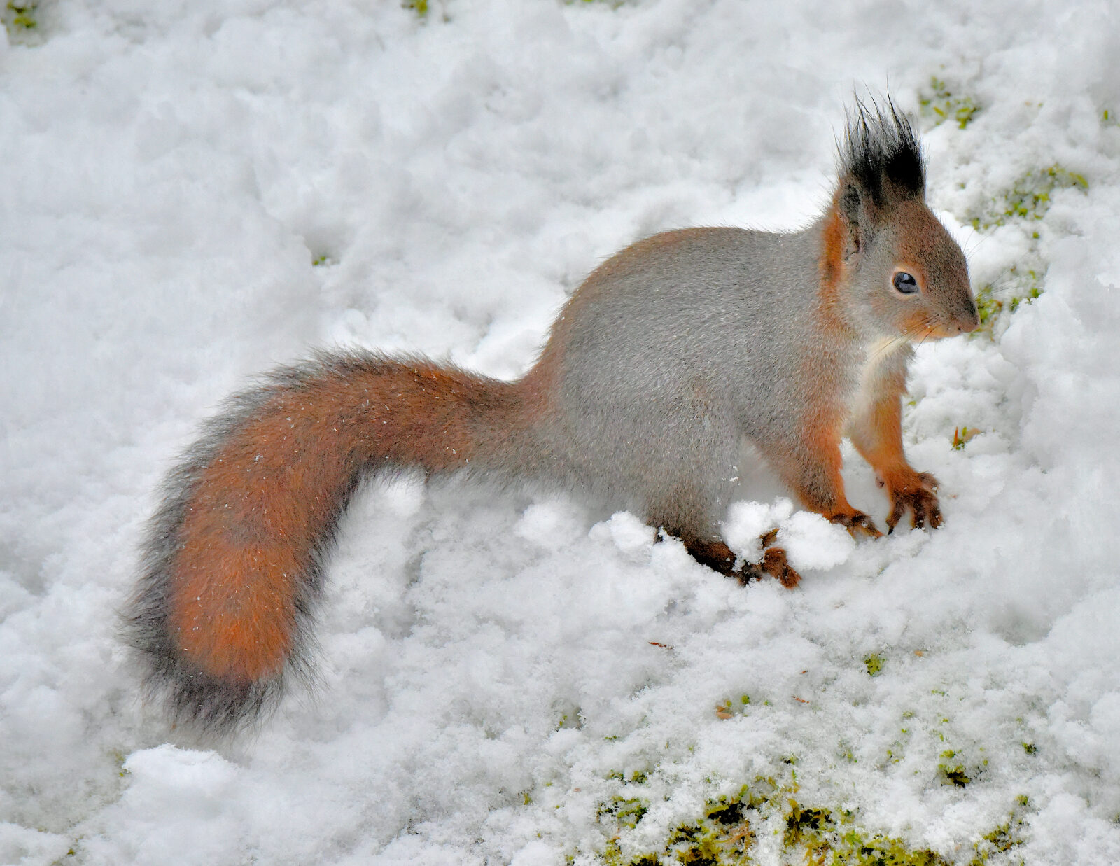 Valokuvaaja: Reijo Juurinen