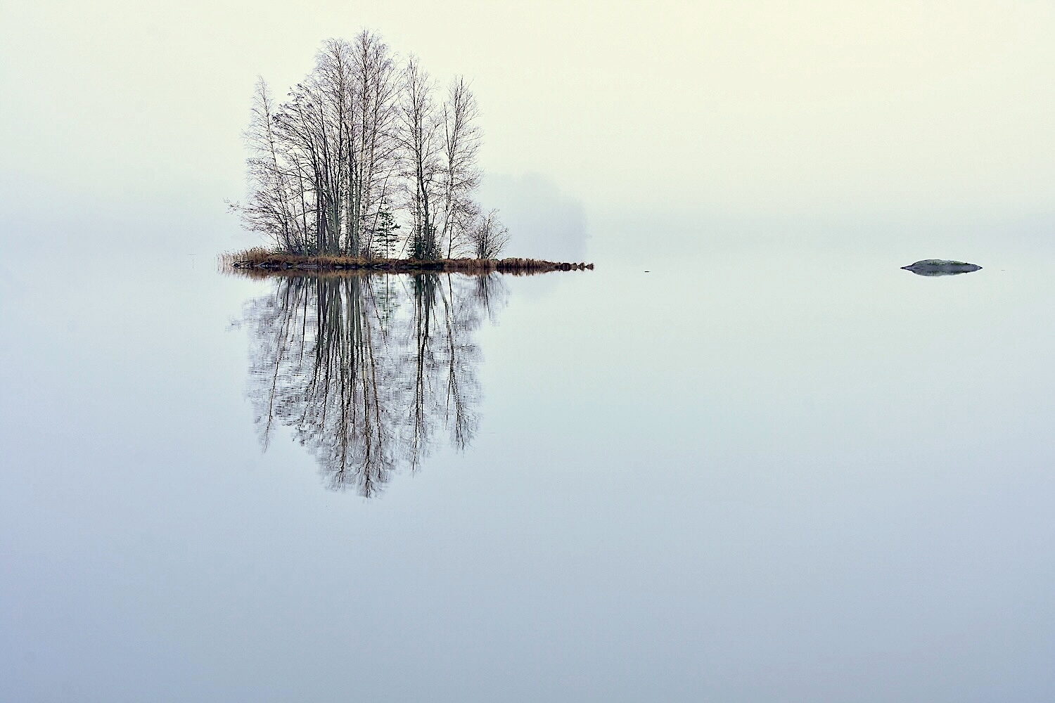Valokuvaaja: Lasse Rokka