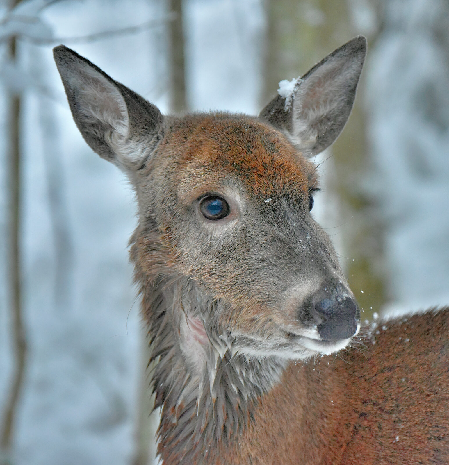 Valokuvaaja: Reijo Juurinen