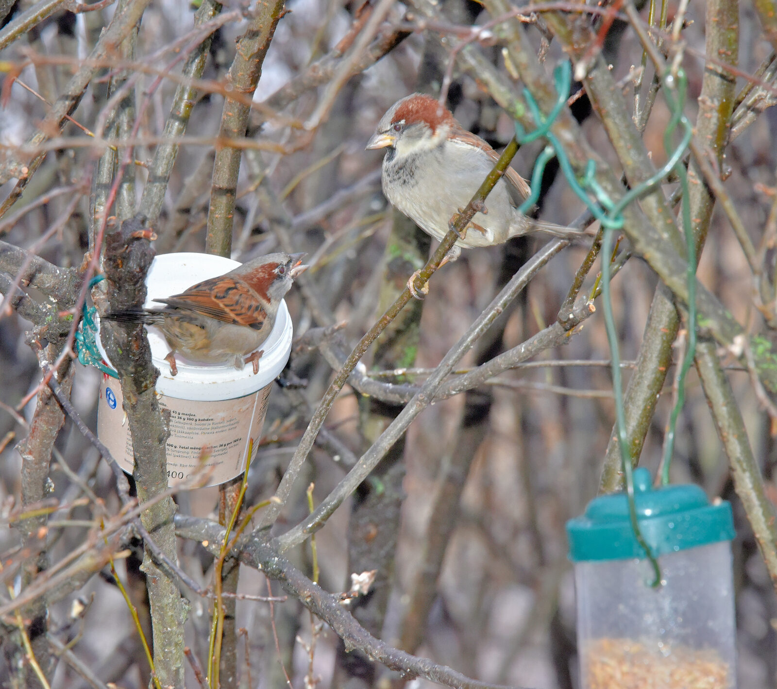 Valokuvaaja: Reijo Juurinen Valokuvaaja: Reijo Juurinen
