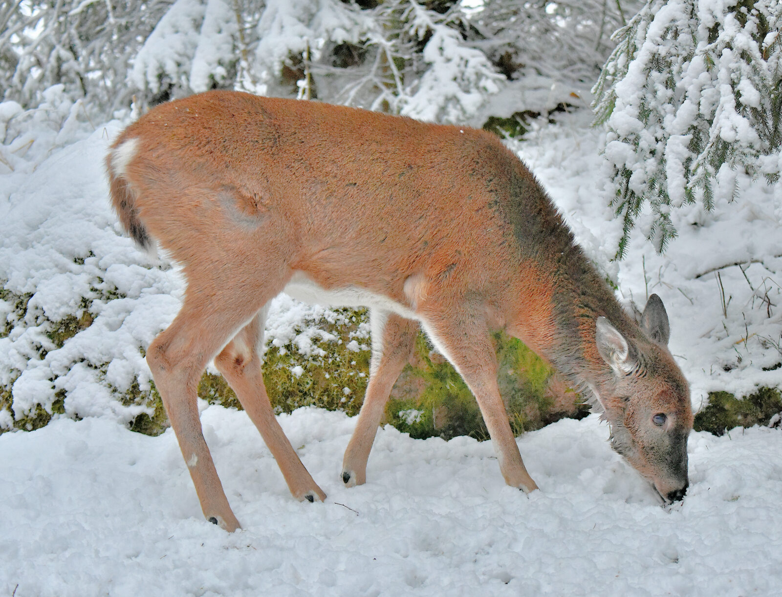 Valokuvaaja: Reijo Juurinen