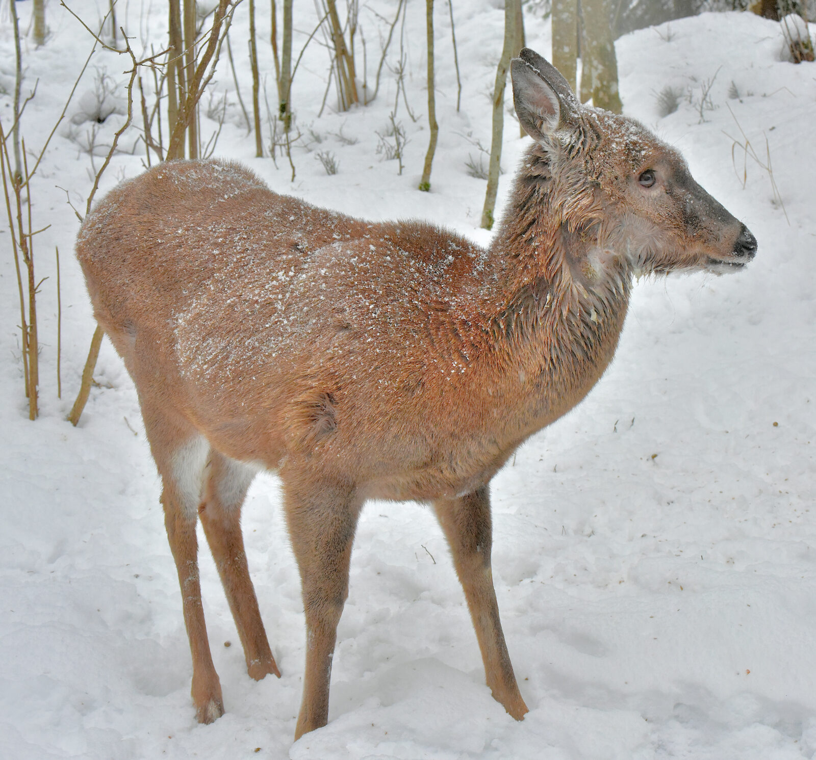 Valokuvaaja: Reijo Juurinen