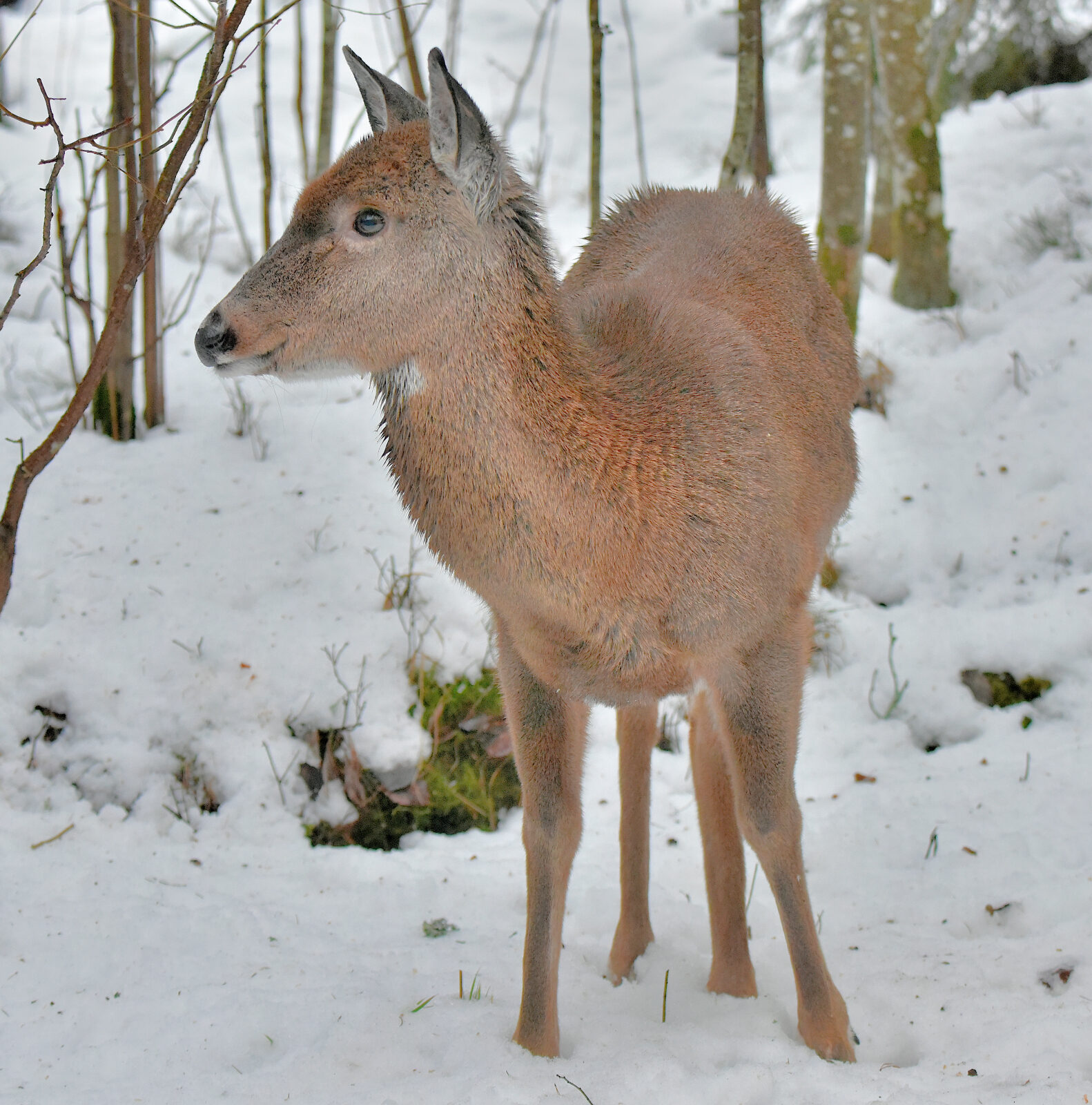 Valokuvaaja: Reijo Juurinen