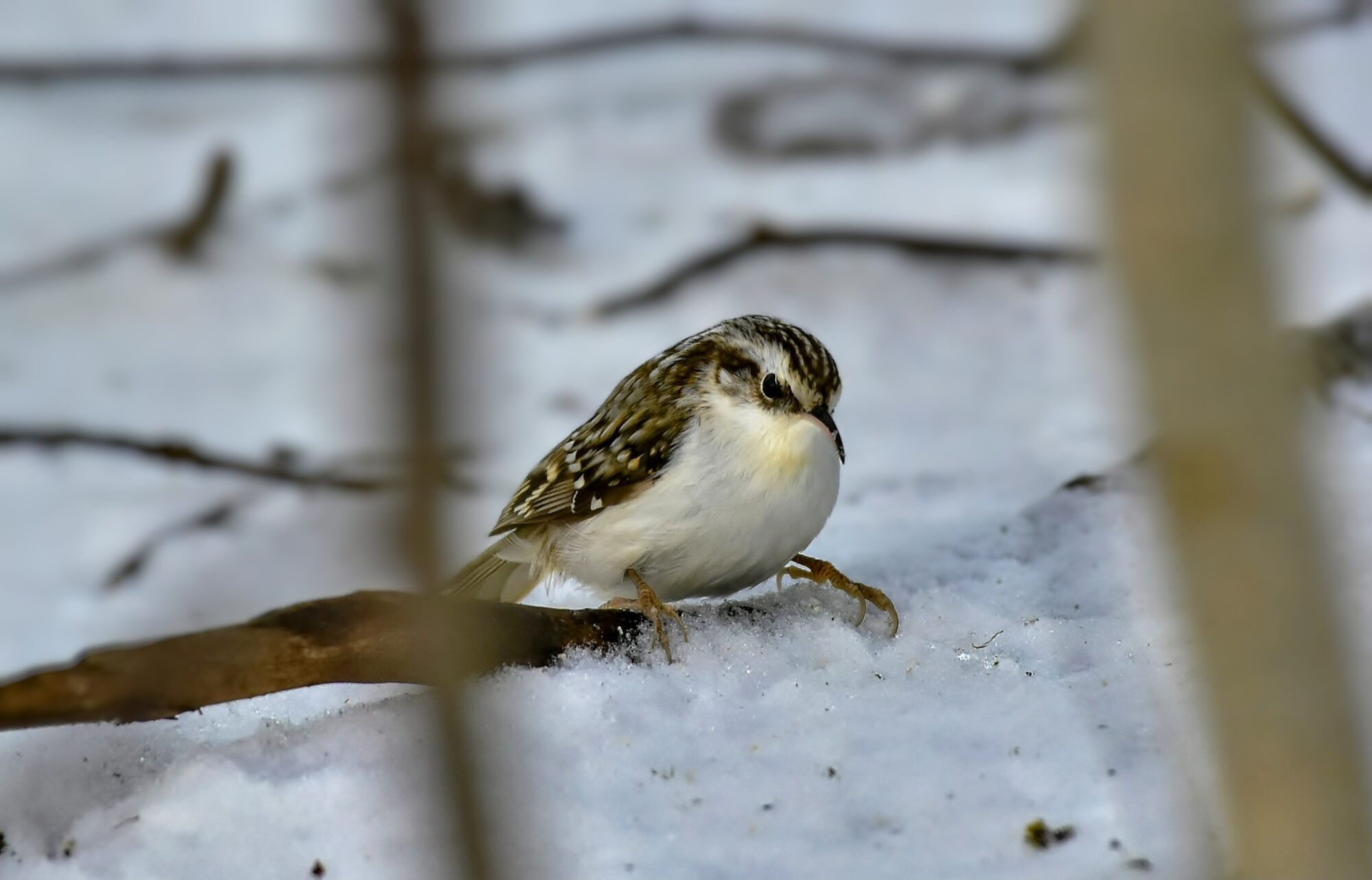 Valokuvaaja: Markku Pelkonen