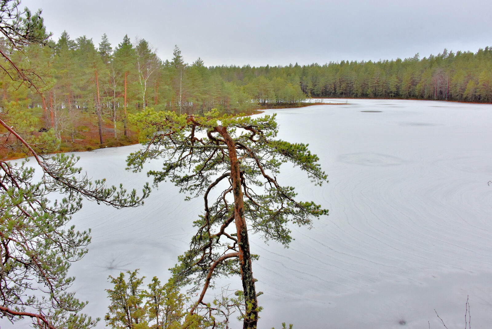 Valokuvaaja: Reijo Juurinen