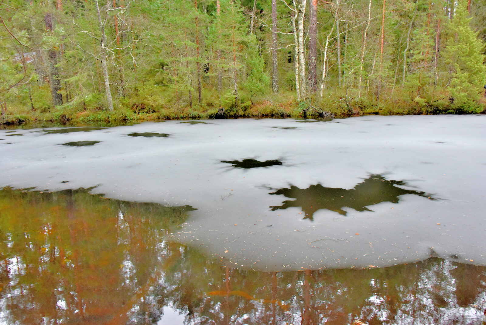 Valokuvaaja: Reijo Juurinen