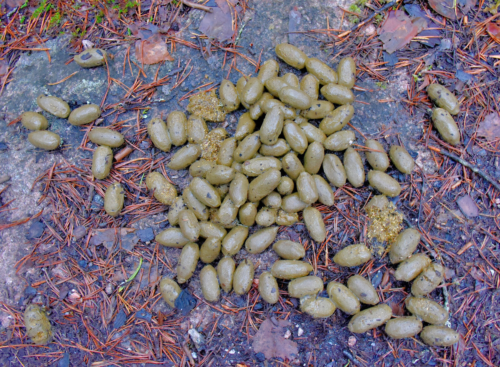 Valokuvaaja: Reijo Juurinen