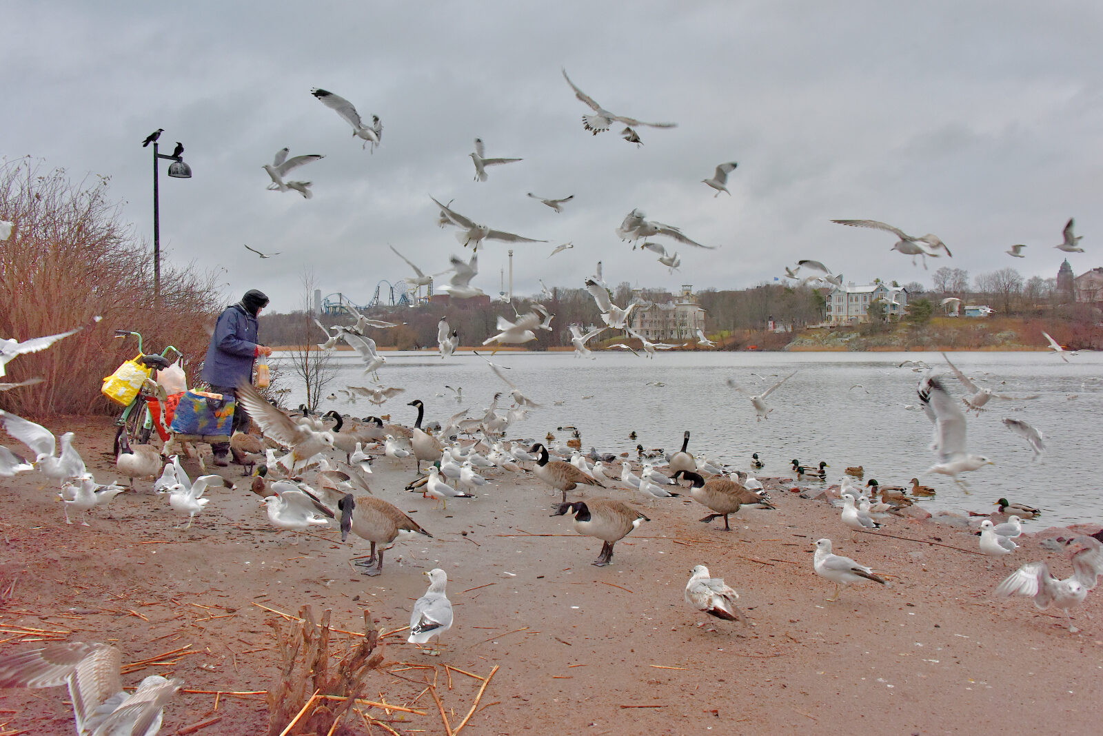 Valokuvaaja: Reijo Juurinen