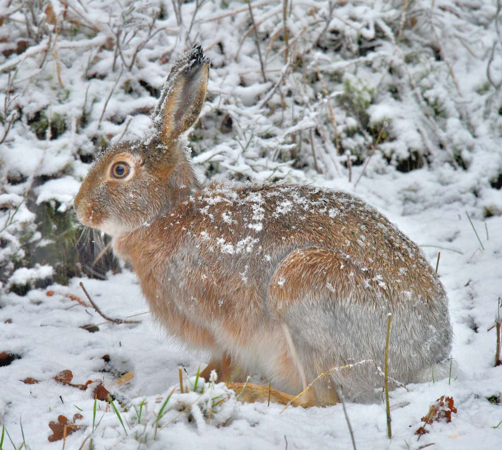 Valokuvaaja: Reijo Juurinen