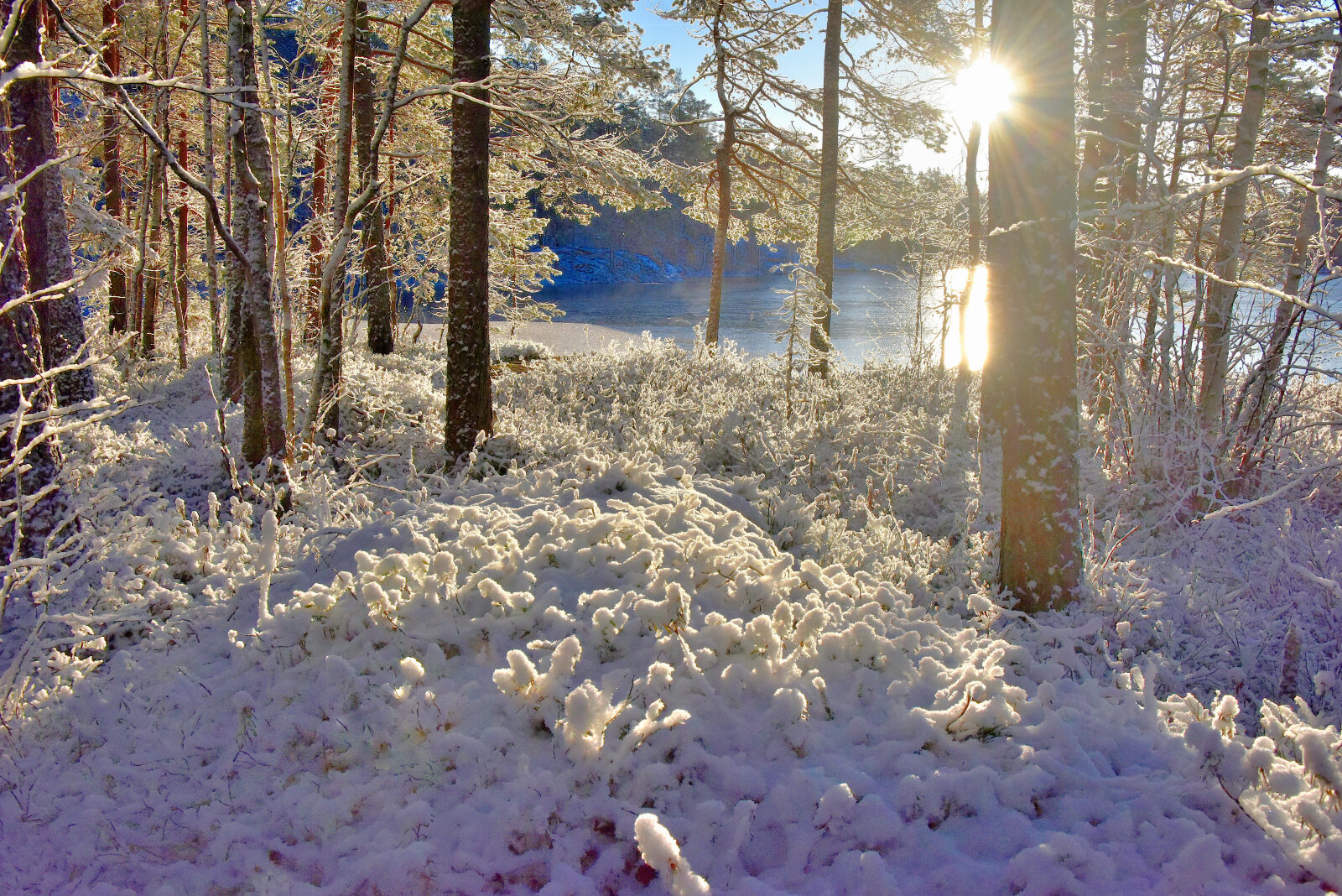 Valokuvaaja: Reijo Juurinen