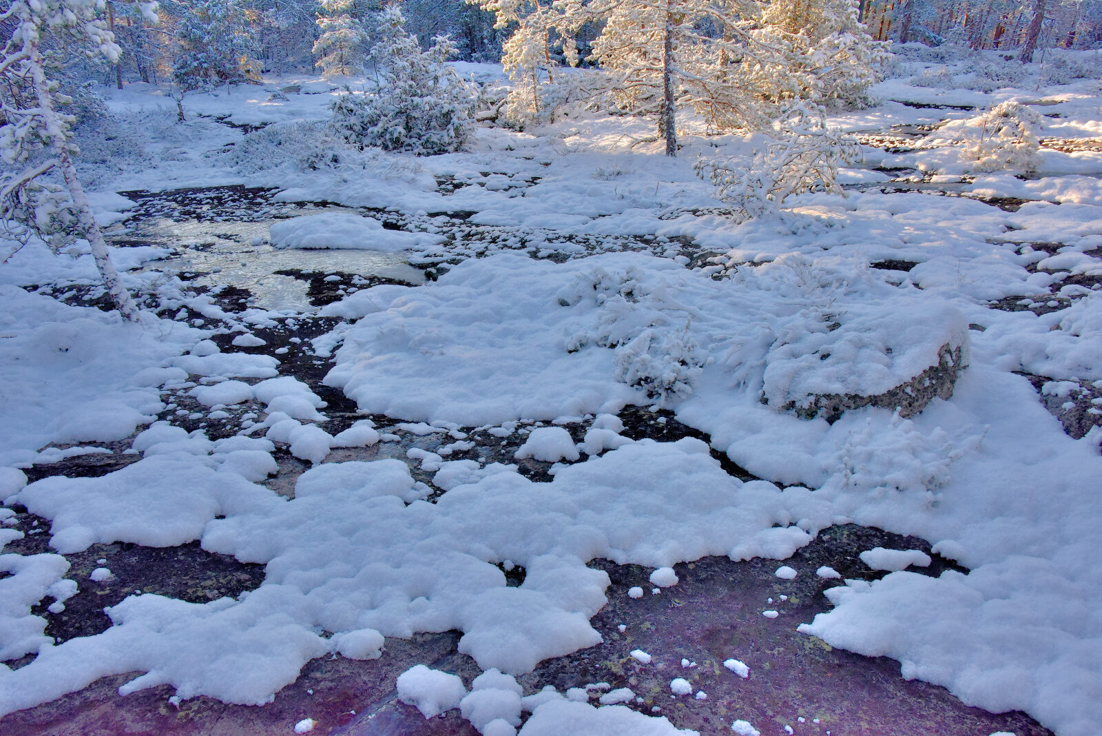 Valokuvaaja: Reijo Juurinen