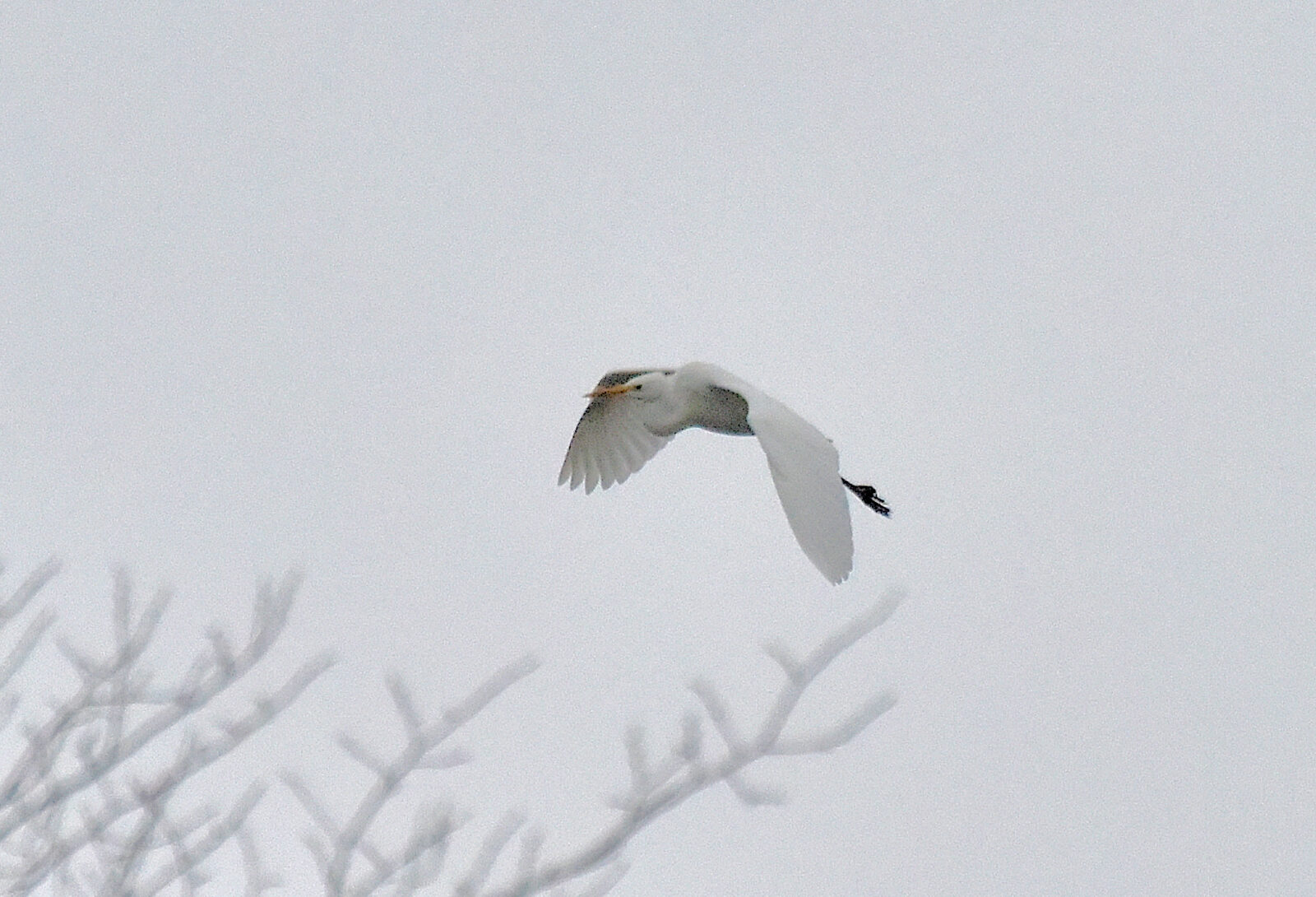Valokuvaaja: Reijo Juurinen