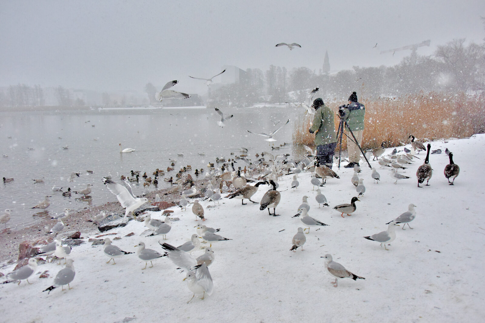 Valokuvaaja: Reijo Juurinen