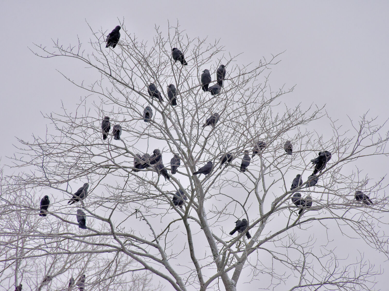 Valokuvaaja: Reijo Juurinen