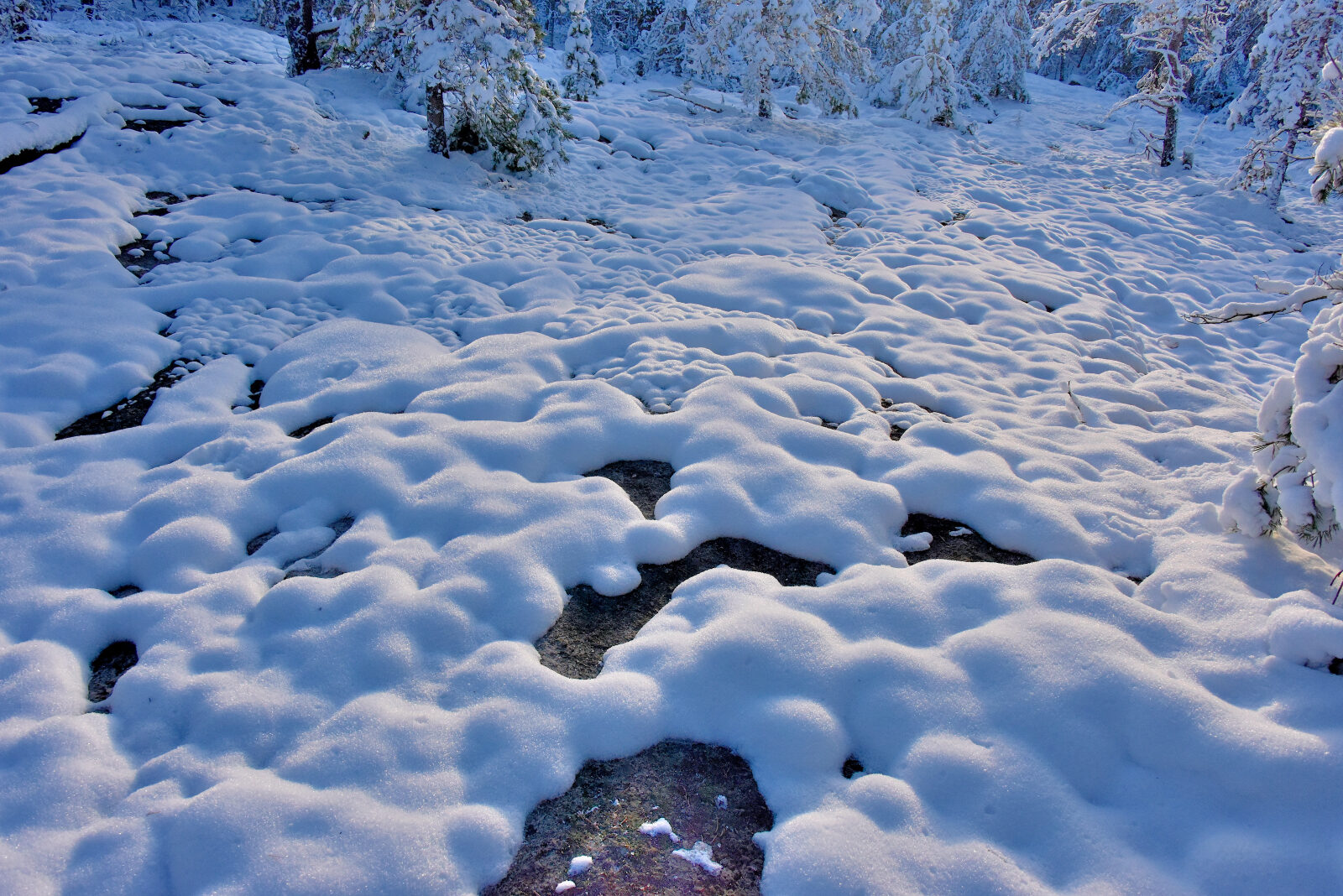 Valokuvaaja: Reijo Juurinen