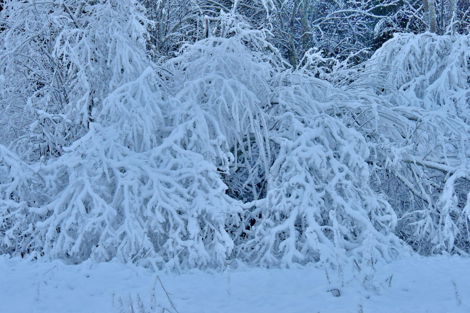 Valokuvaaja: Reijo Juurinen