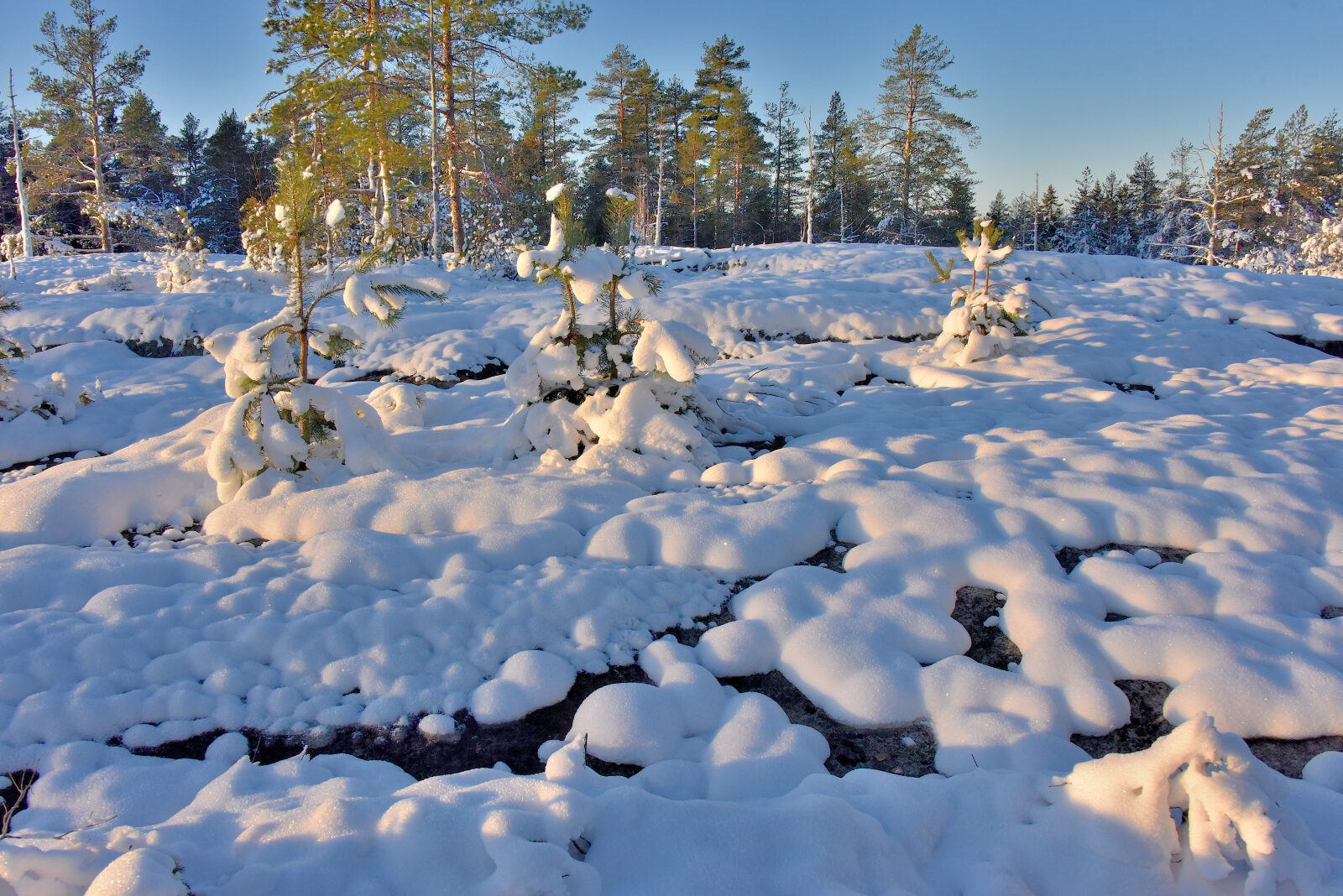 Valokuvaaja: Reijo Juurinen