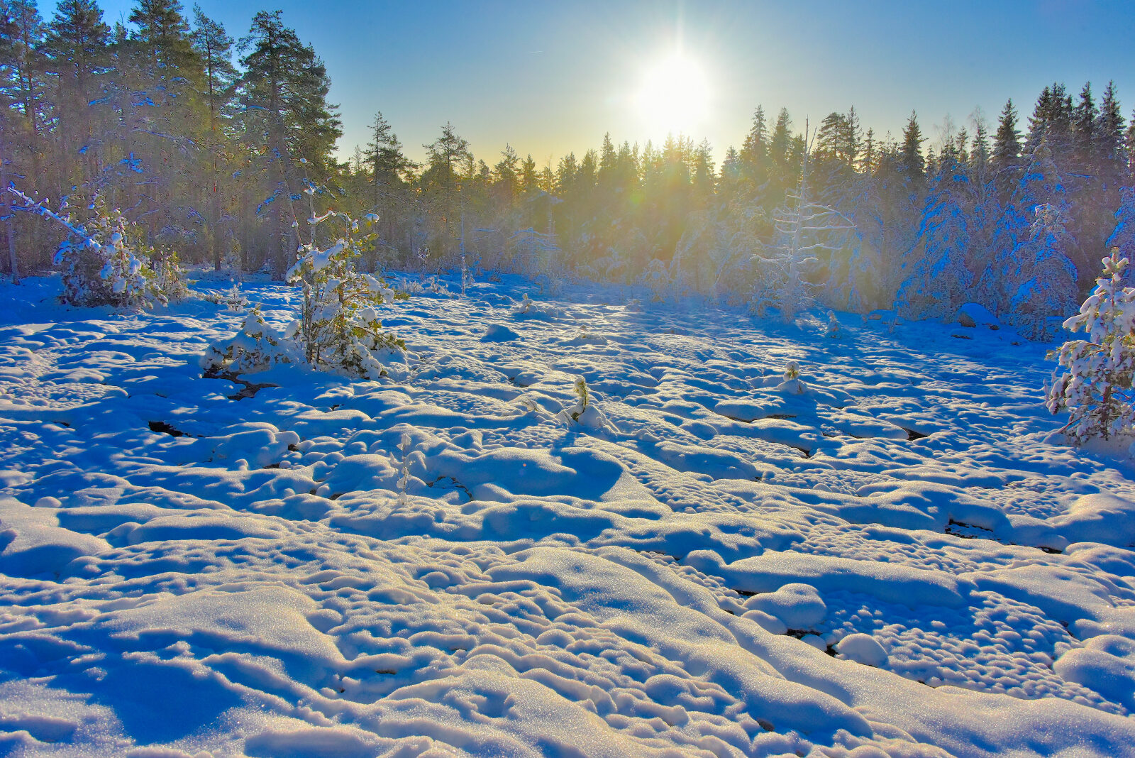 Valokuvaaja: Reijo Juurinen
