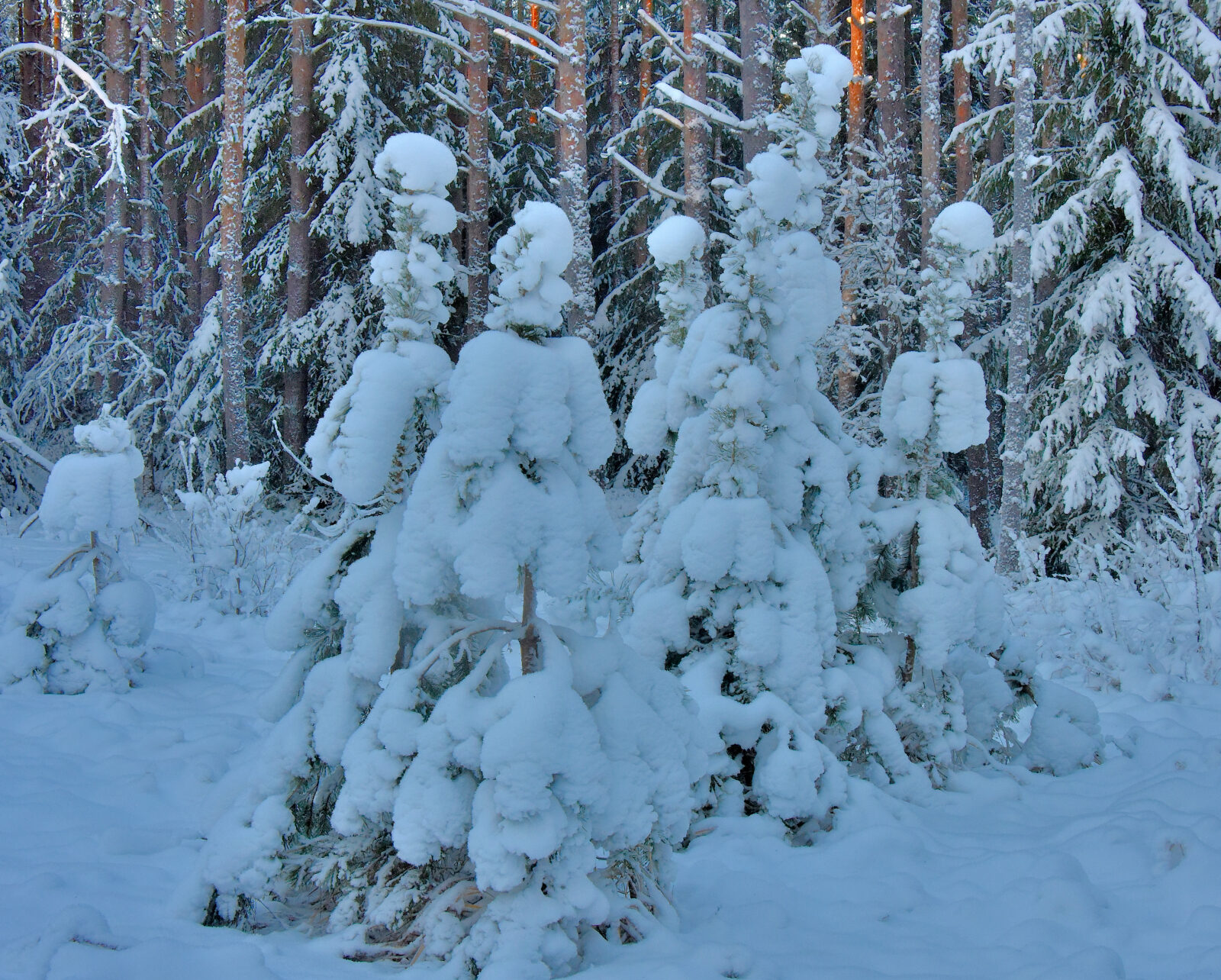 Valokuvaaja: Reijo Juurinen