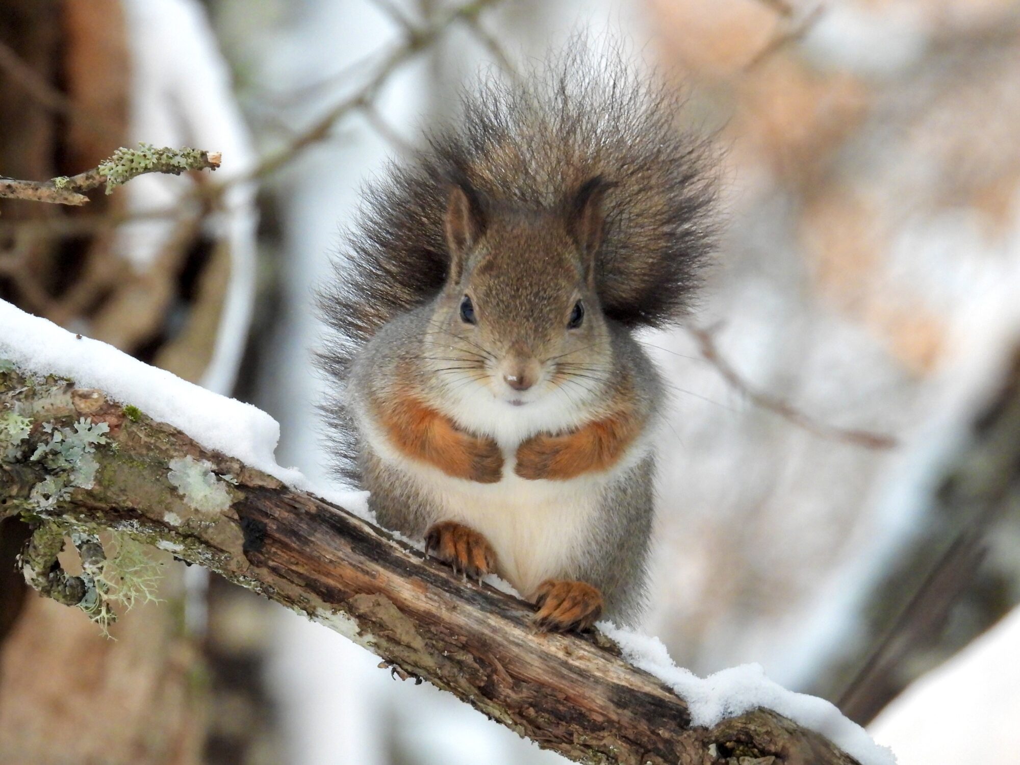 Valokuvaaja: Juhani Peltonen