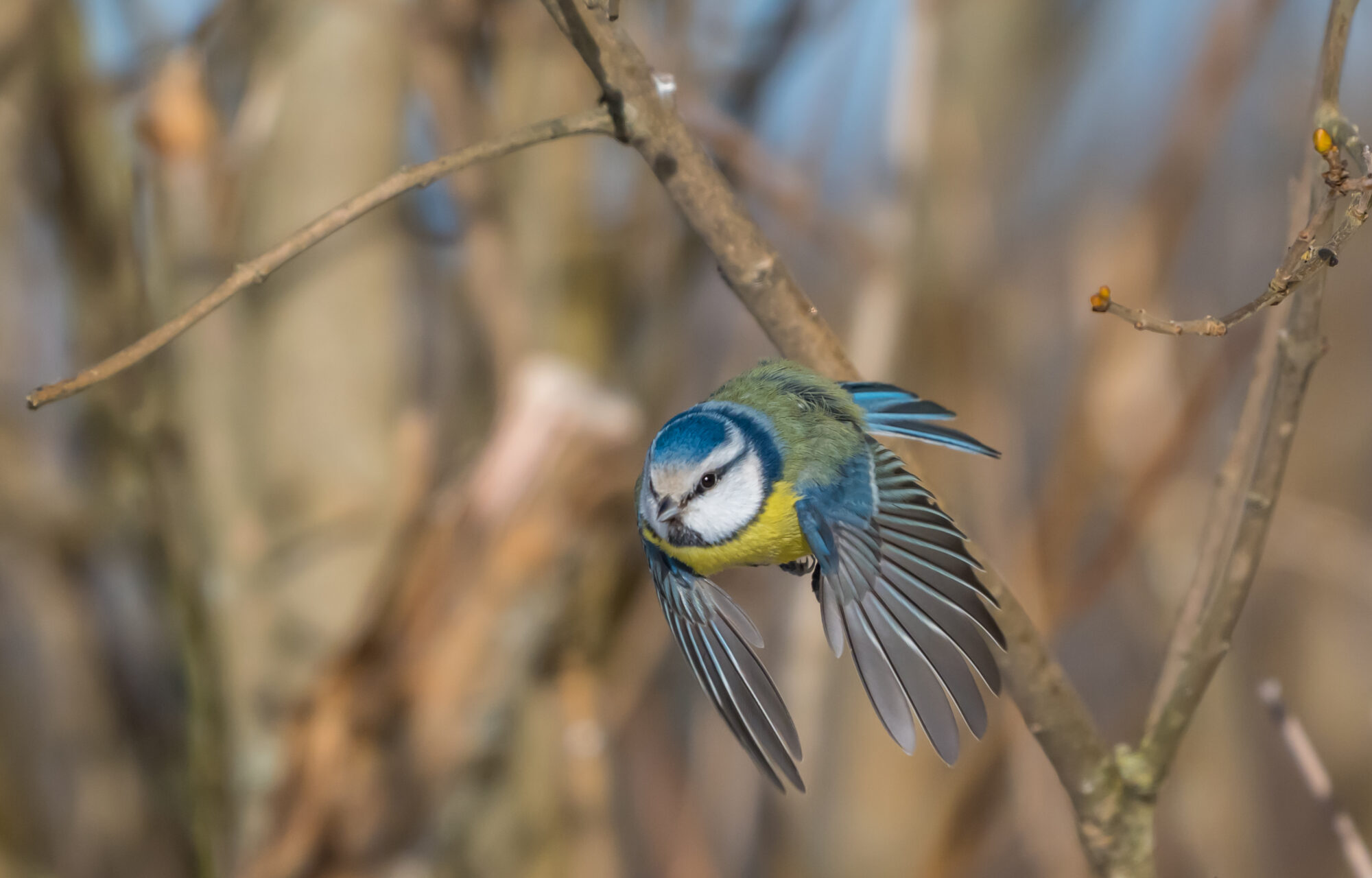 Valokuvaaja: Markku Saarinen