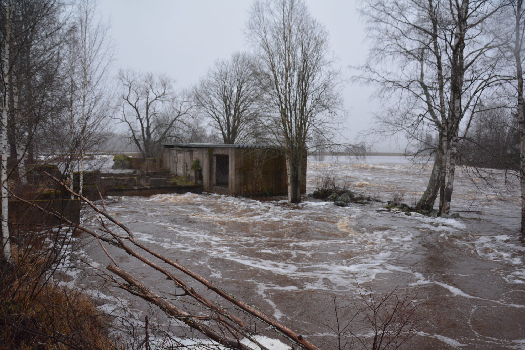 Valokuvaaja: Reijo Kärkkäinen