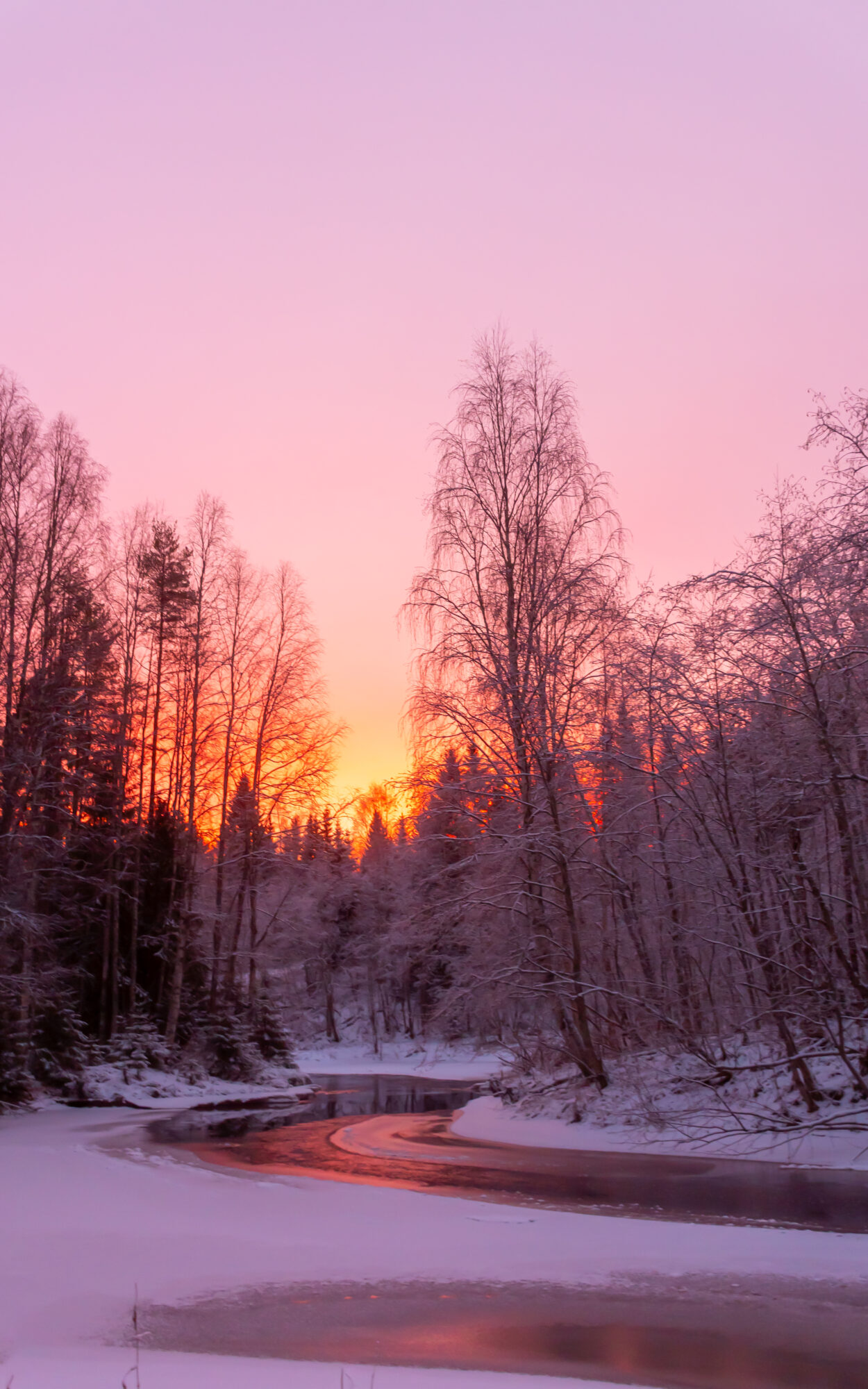 Valokuvaaja: Leena Rissanen