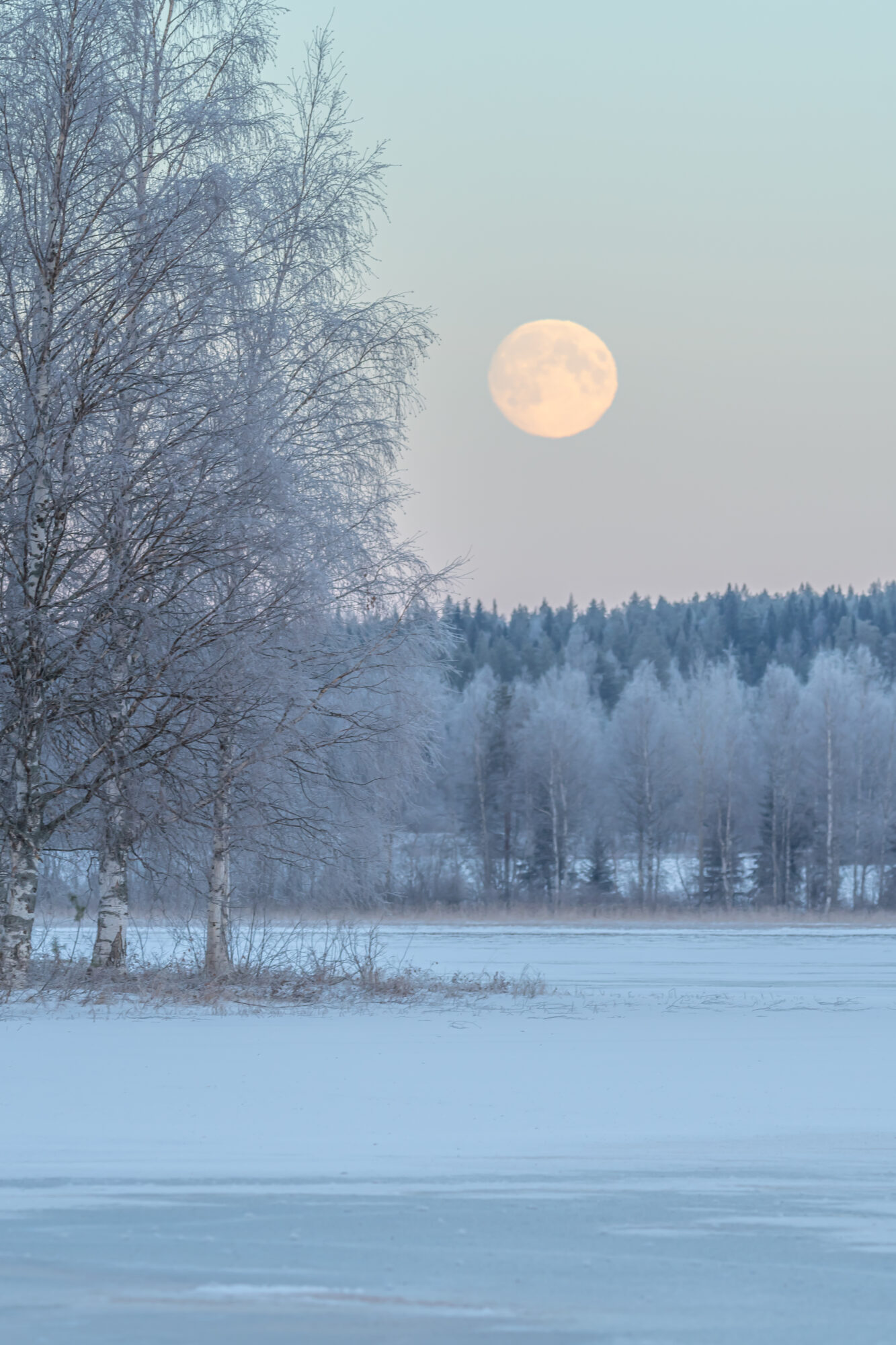 Valokuvaaja: Leena Rissanen