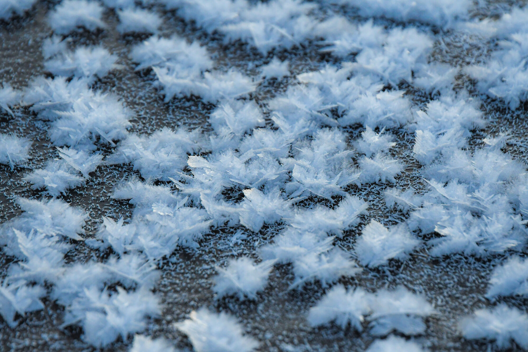 Valokuvaaja: Maija savolainen