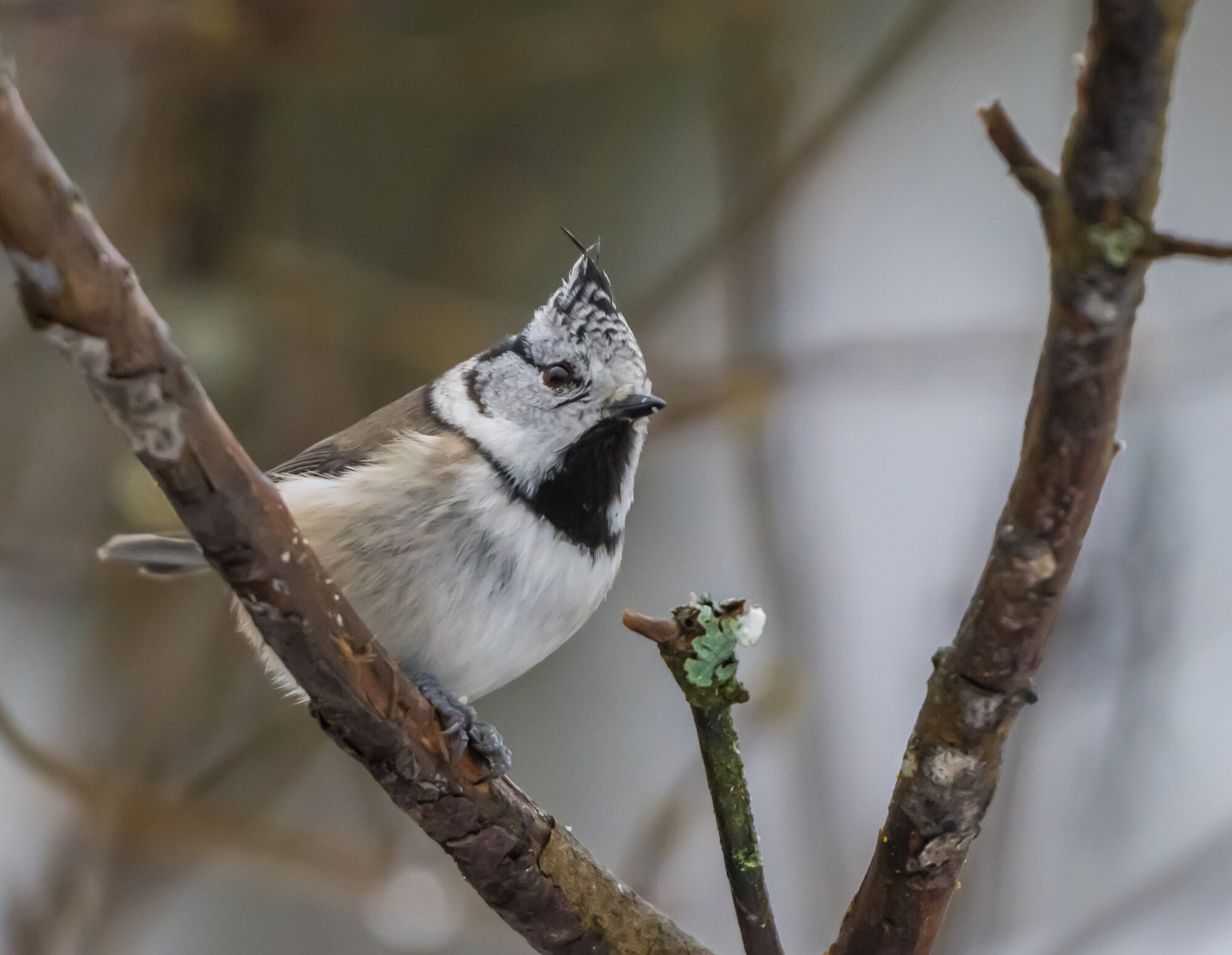 Valokuvaaja: Markku Saarinen