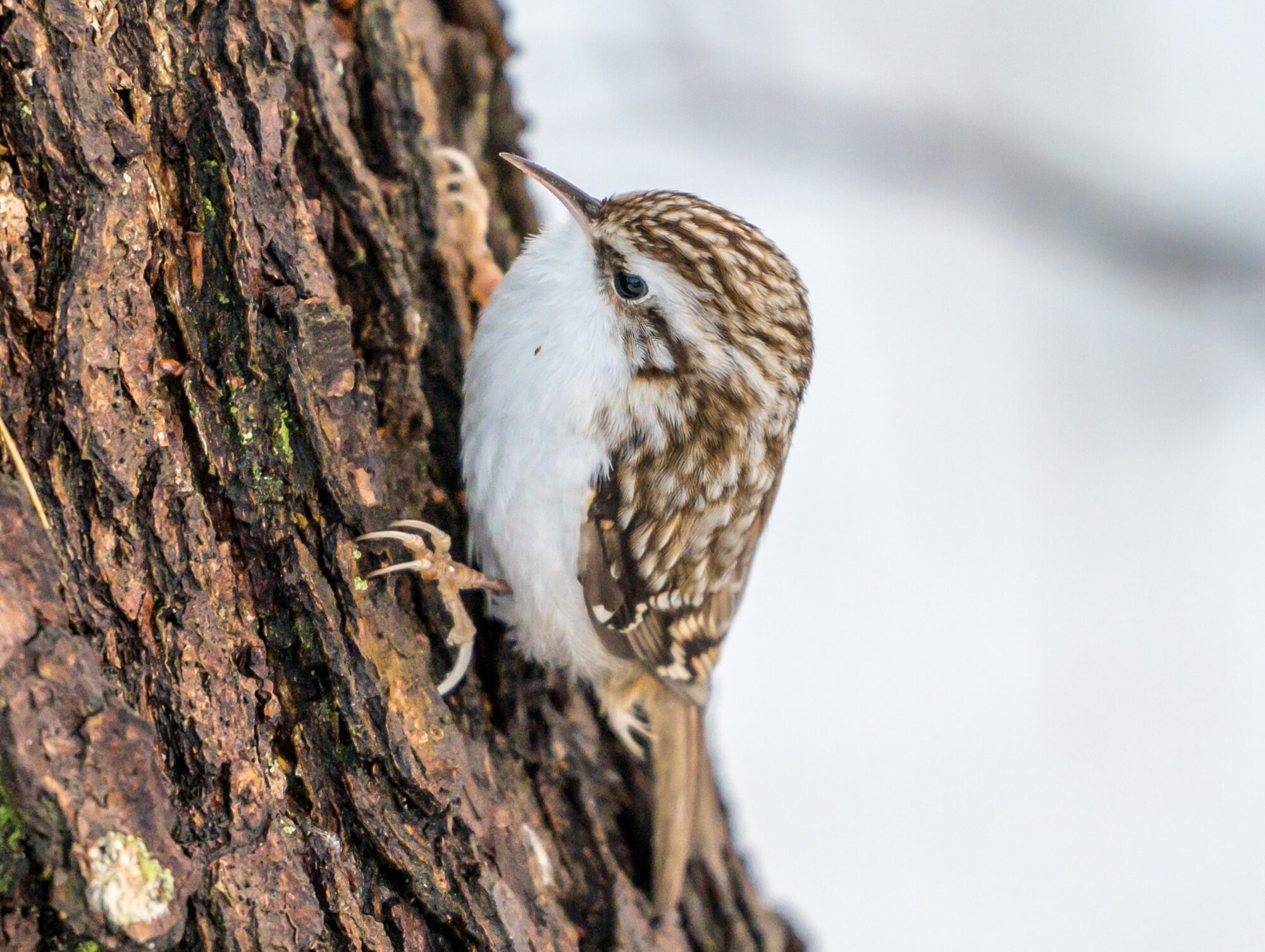 Valokuvaaja: Markku Saarinen Valokuvaaja: Markku Saarinen