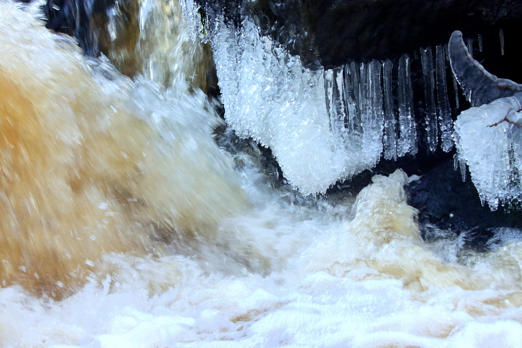 Valokuvaaja: Irja Lehtinen